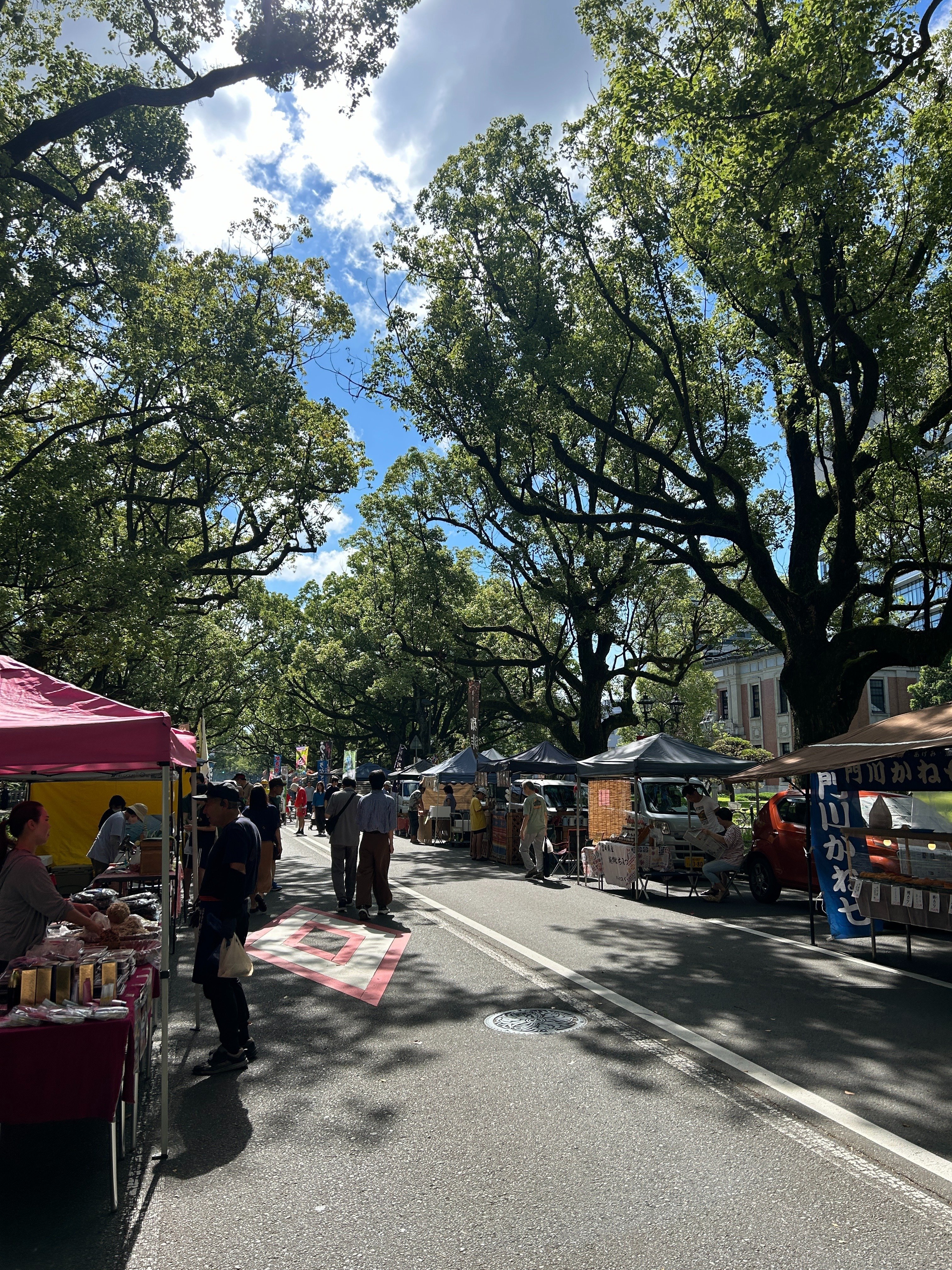 29_田んぼから生まれる工芸品（わら細工たくぼさんを訪ねて