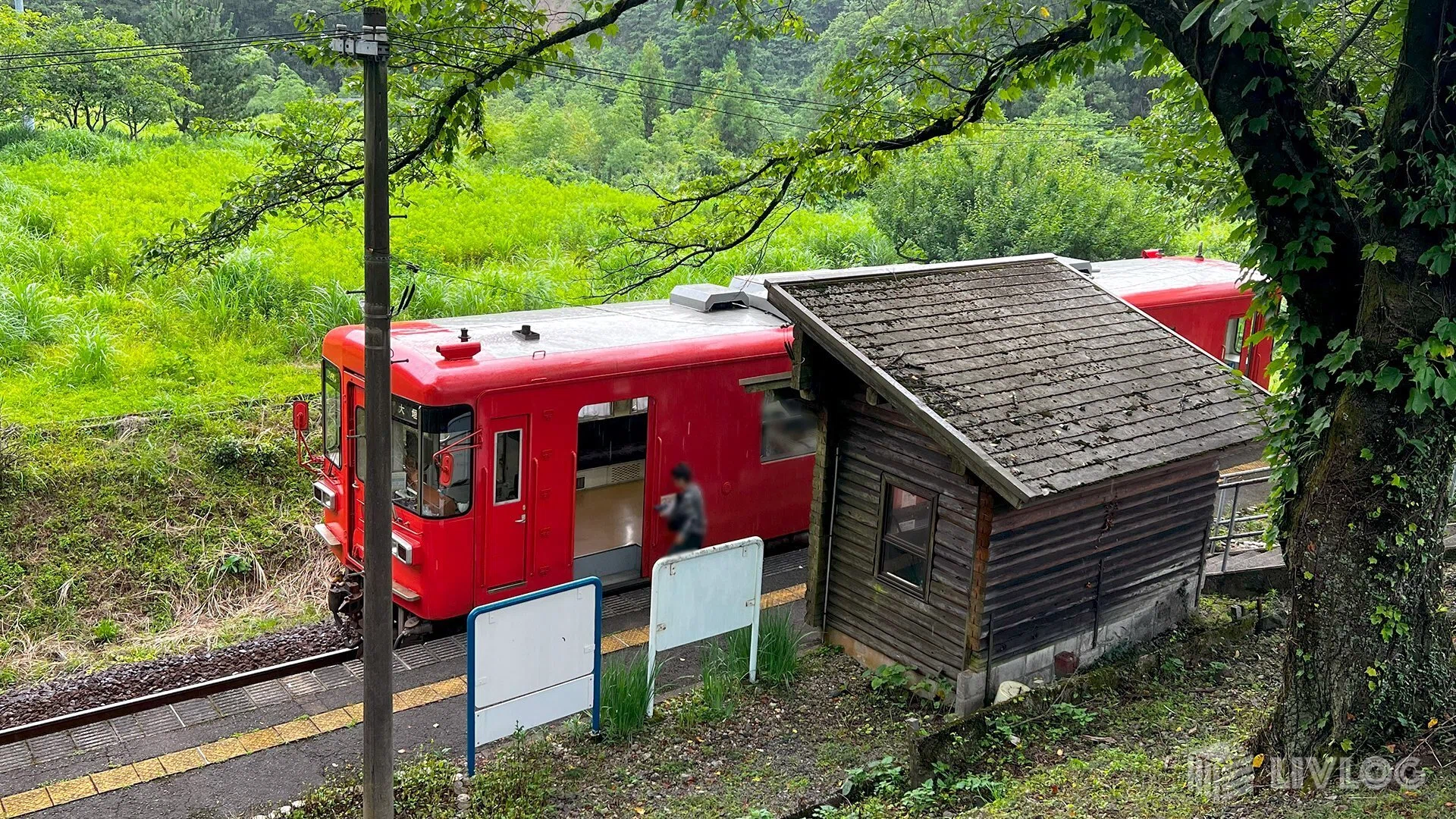 樽見鉄道】日当駅（ひなたえき）の魅力を再発見！鉄道ファンに人気の
