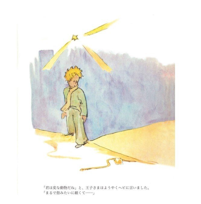 塚崎幹夫『星の王子さまの世界』中公新書昭和57年初版