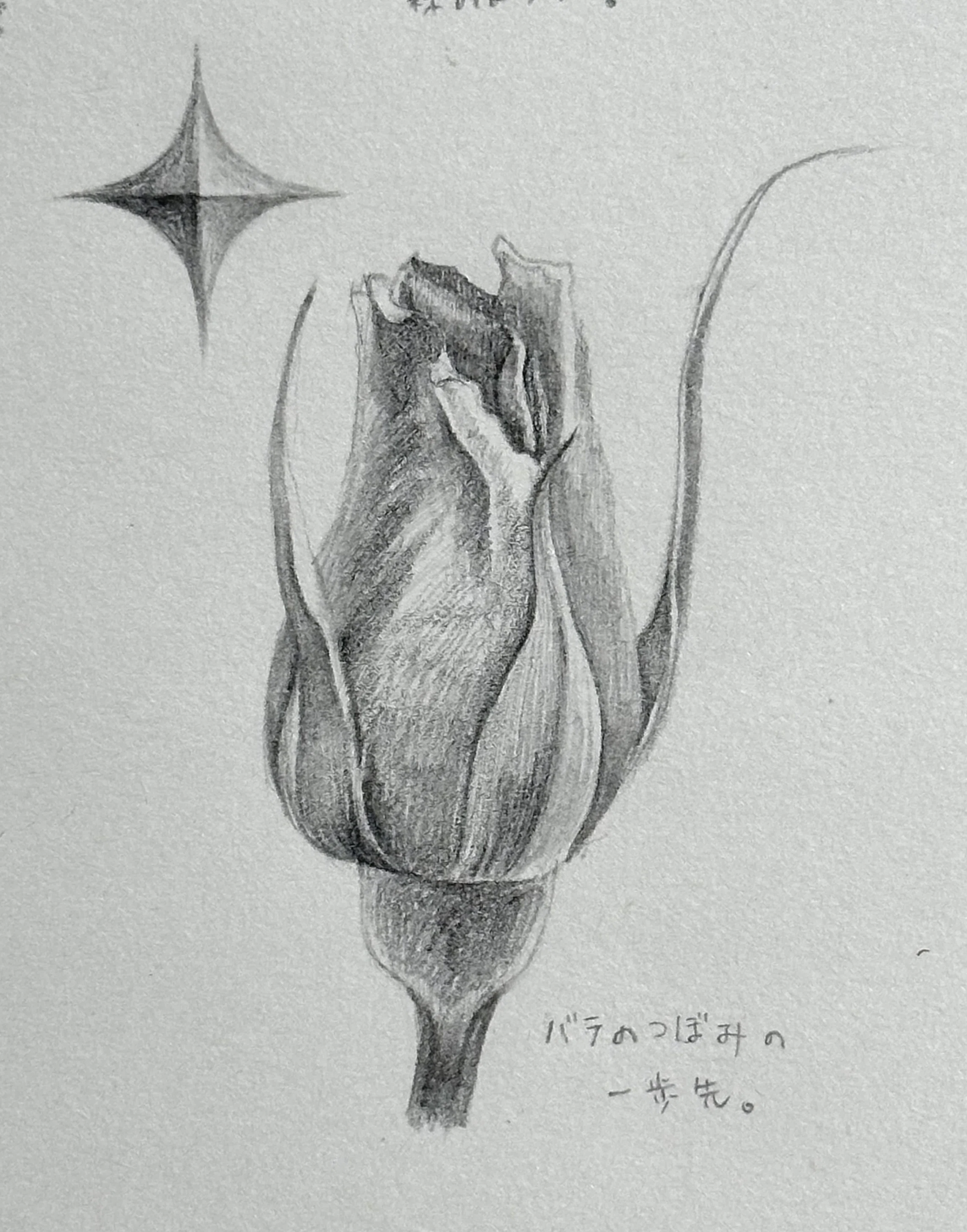 つぼみ以上、お花未満｜美術のじかん / TAKUYA YONEZAWA note