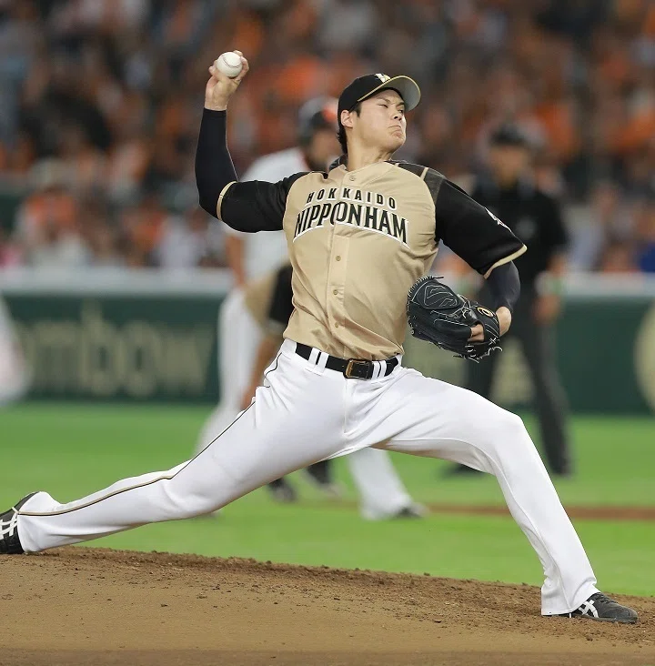 2016年 北海道日本ハムファイターズ(優勝・日本一)｜どいがき