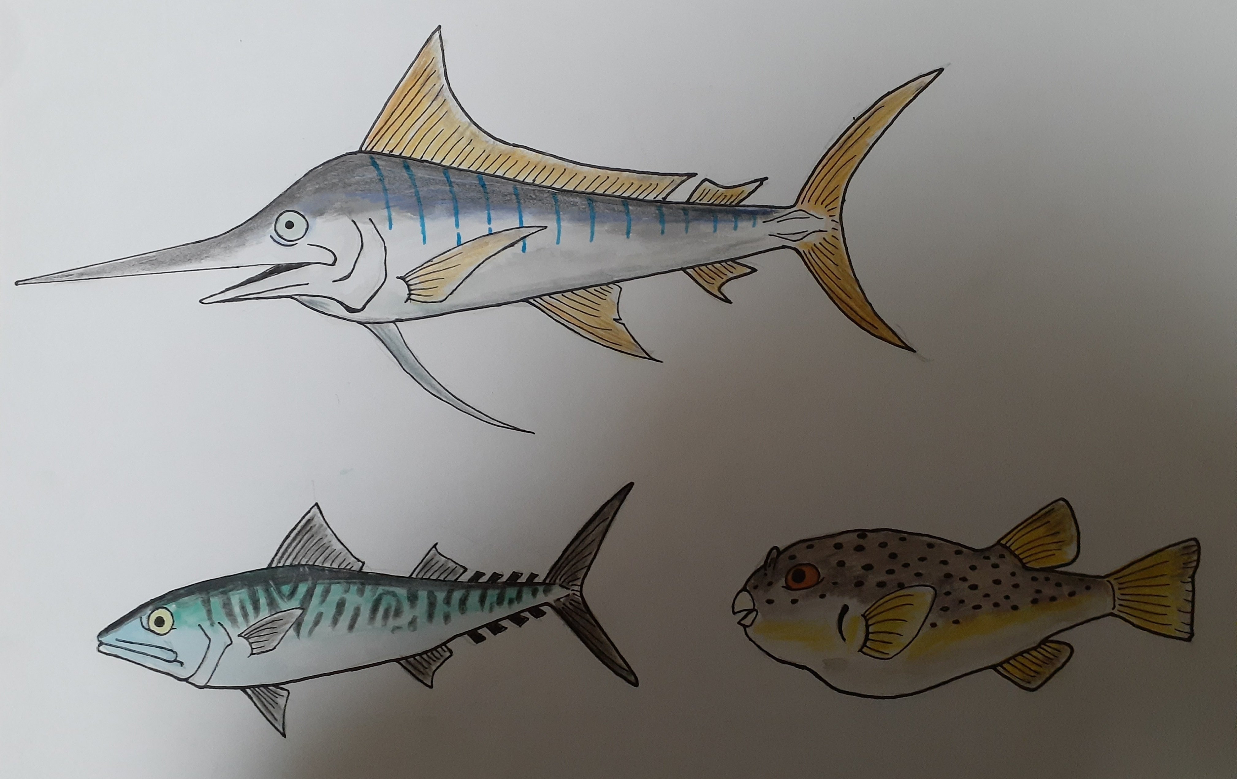 イラスト】さかなさかなさかな・総集編｜TechpanCreate（テクパン