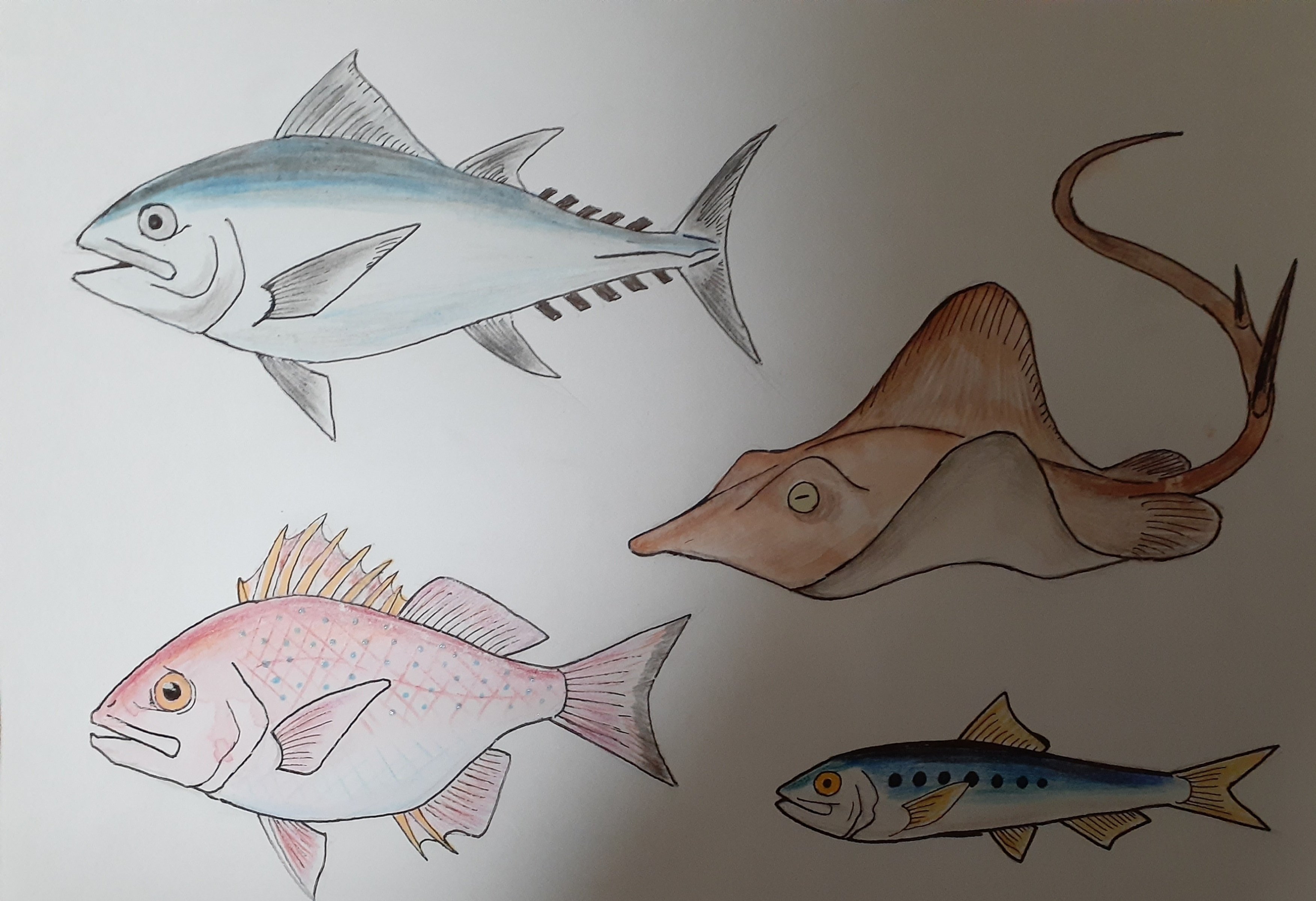 イラスト】さかなさかなさかな・総集編｜TechpanCreate（テクパン