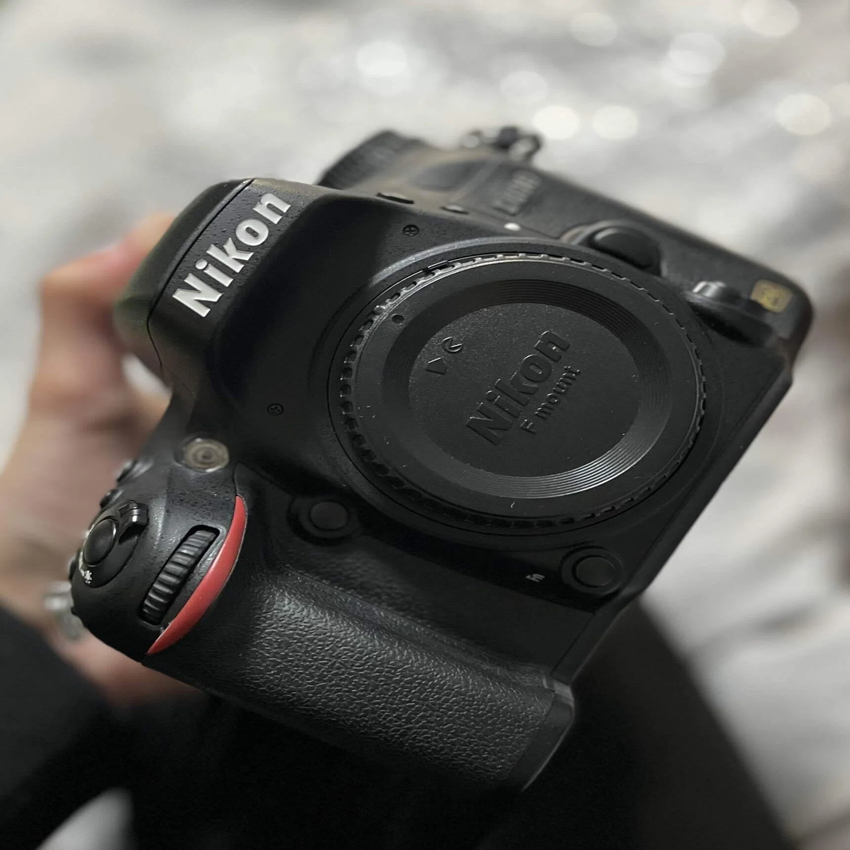 Nikon D600｜硝子窓