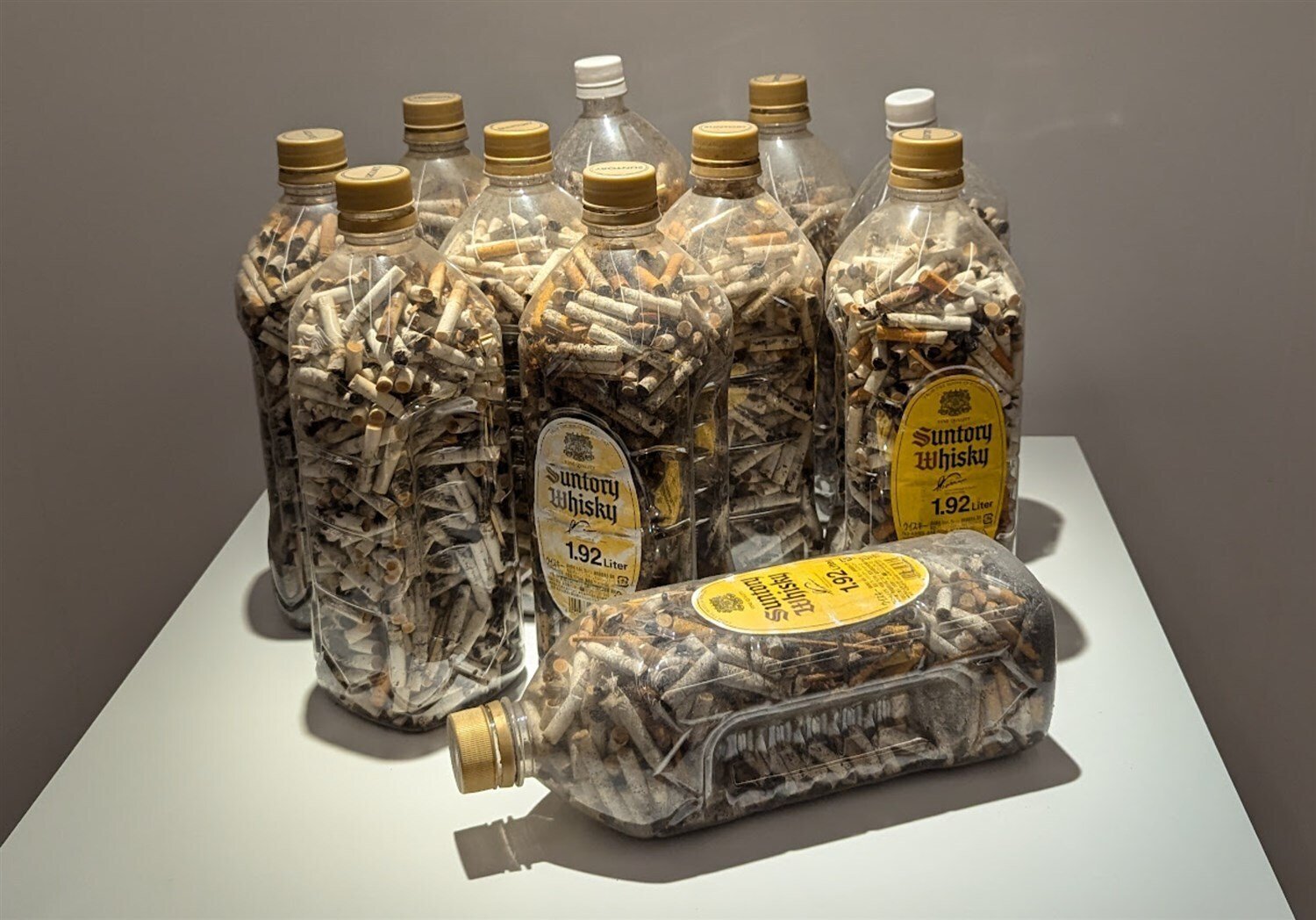 作者不明　めんだこワールド 作者不明めんだこワールド