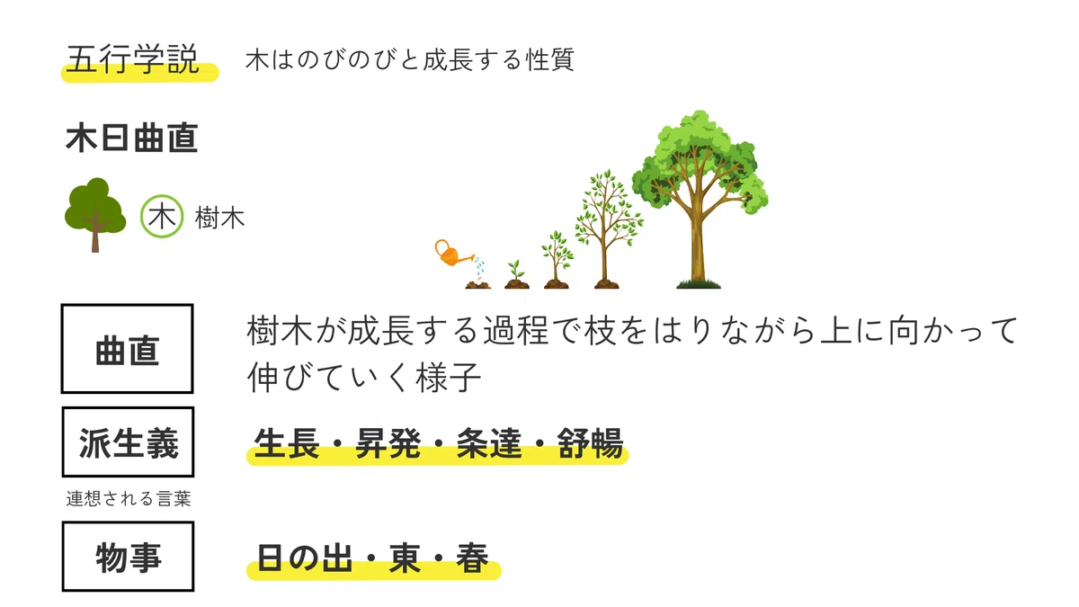 【中医基礎理論 第30講】 - 五行学説 - 五行学説の形成と木・火・土・金・水の性質｜taka@鍼灸師