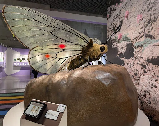 特別展「昆虫MANIAC」で昆虫たちの多様な生き方を体感！｜KADOKAWA児童