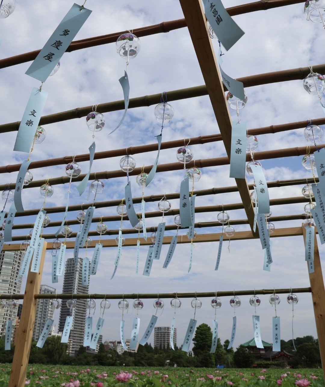 不忍池でハスと風鈴の音を愉しむ（上野恩賜公園）｜ほんのひととき