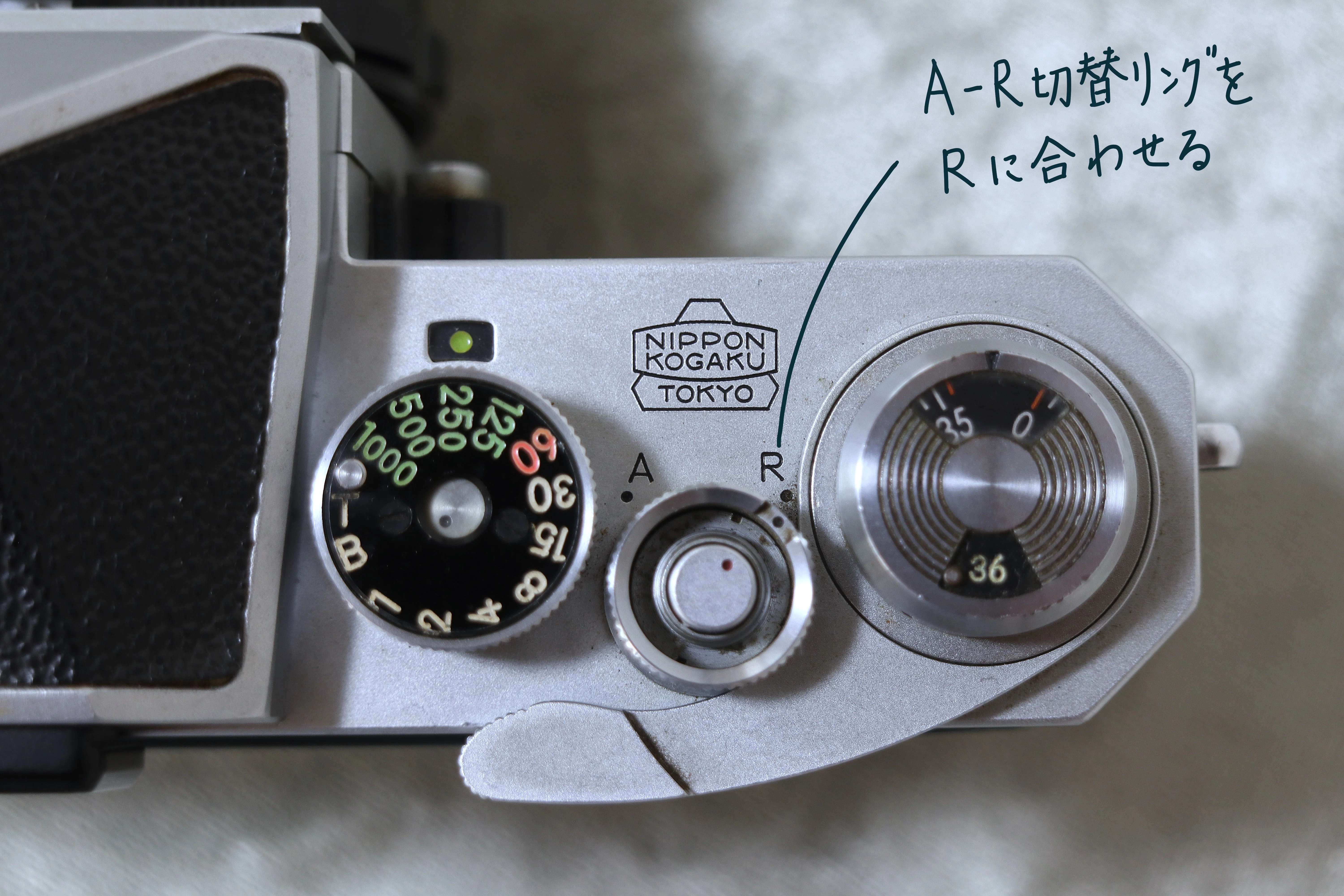 Nikon F の話 ：フィルムカメラであそぼう！｜にゃんかめ