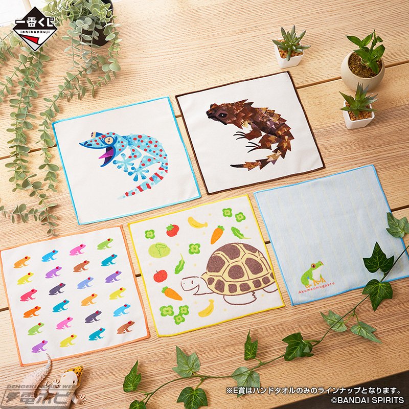 一番くじに「爬虫類＆両生類」が初登場！フトアゴヒゲトカゲの