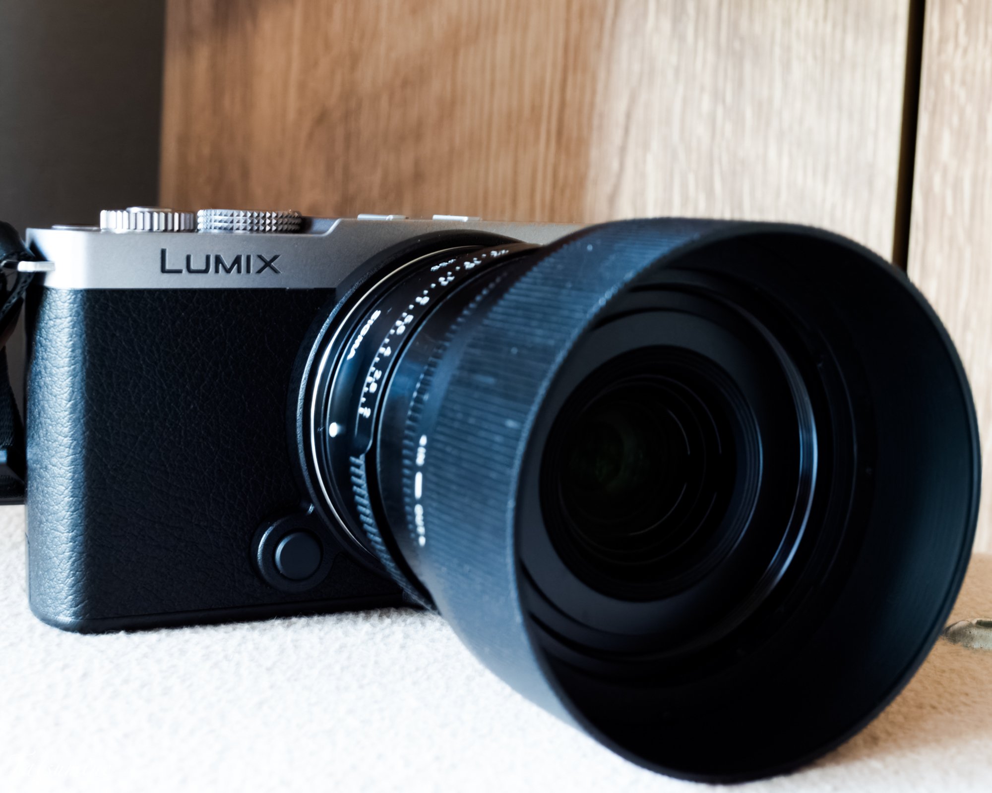 Panasonic LUMIX S9購入｜tatsumine