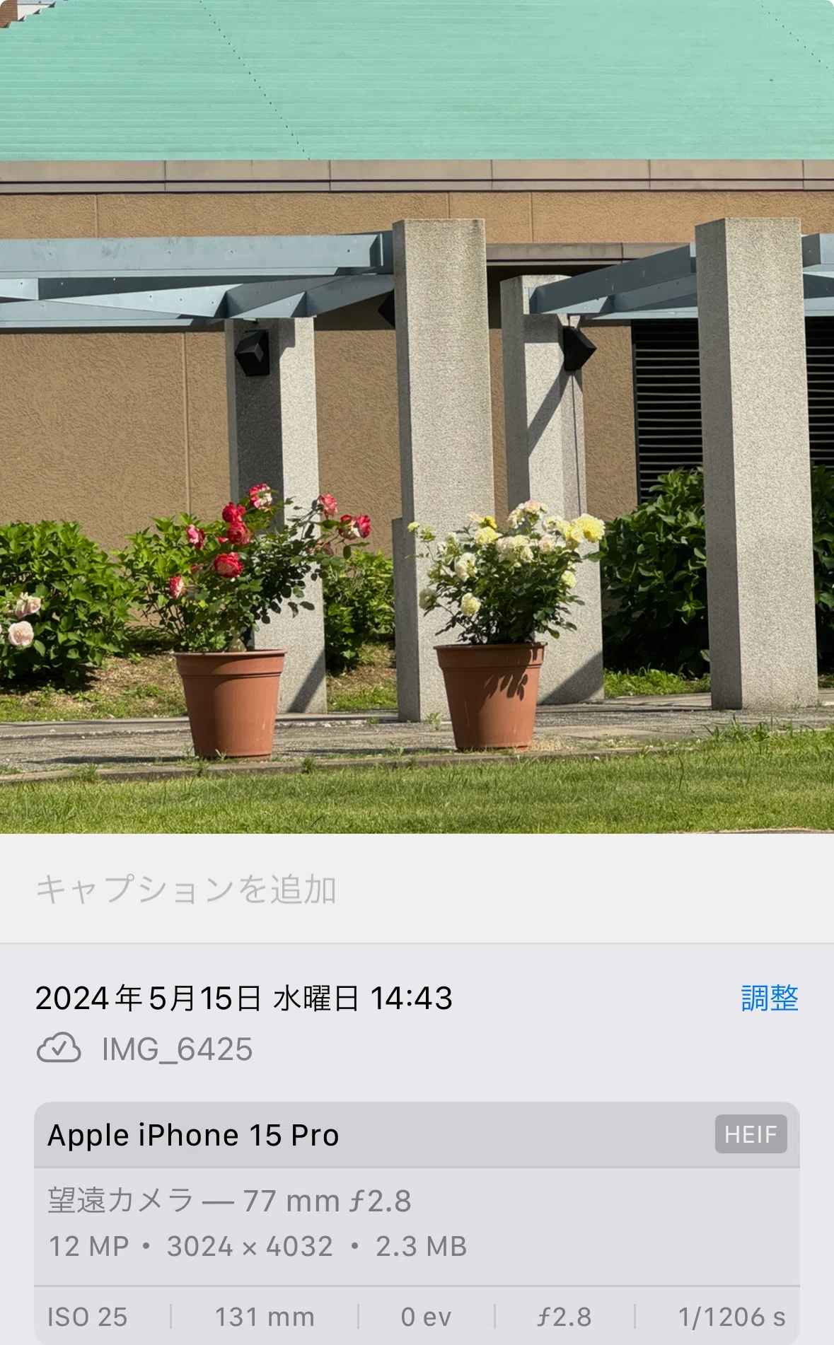 画像