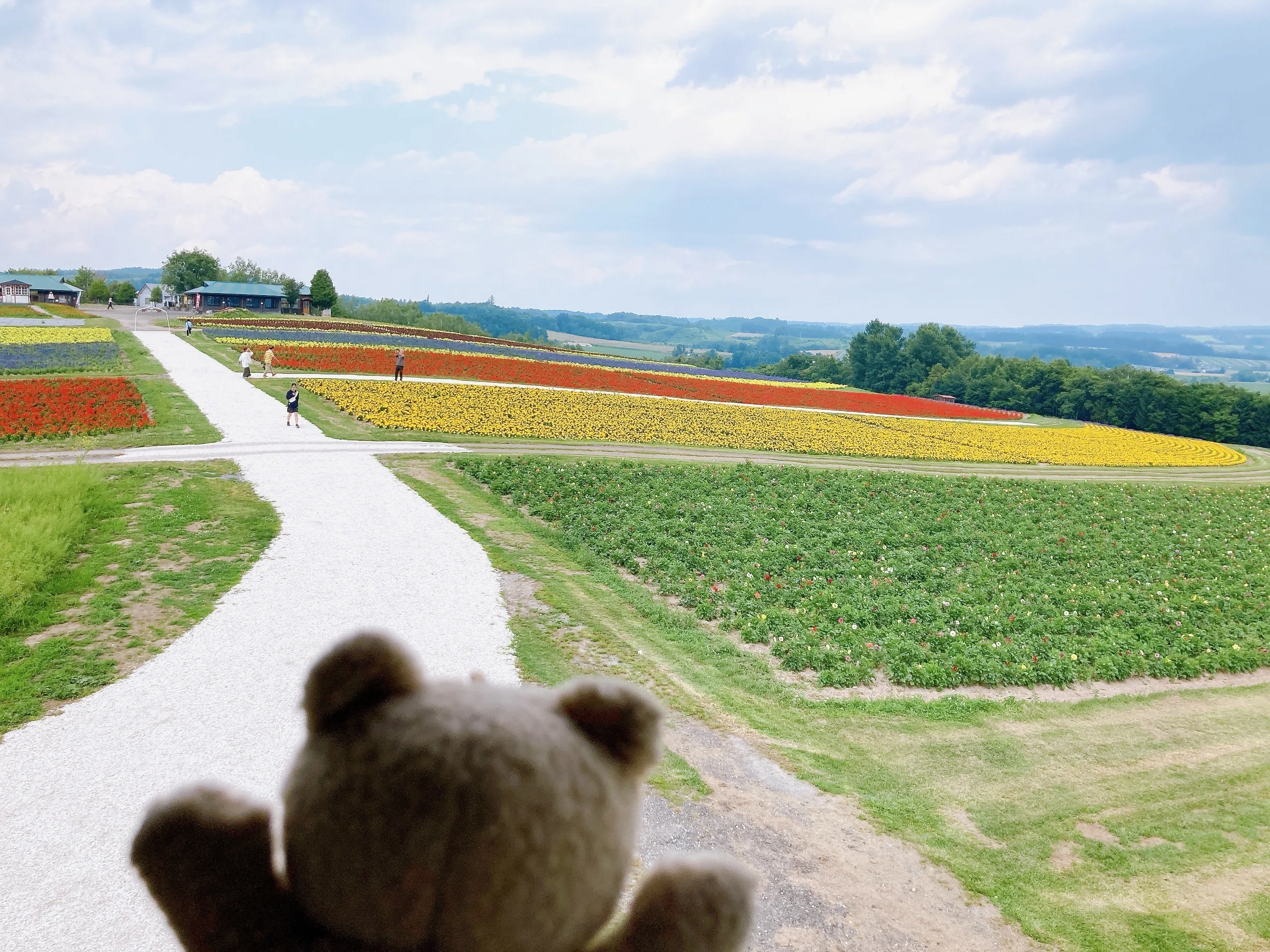 フラワーランドかみふらの 北海道｜日本一周、世界一周 もふP