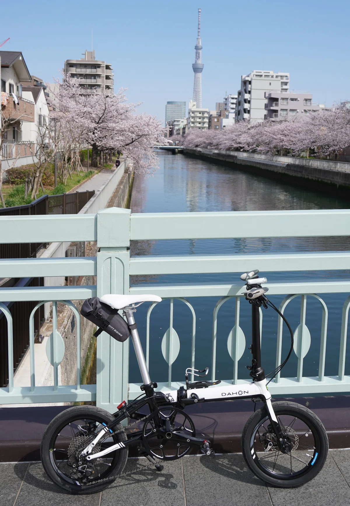 DAHON K3 PLUS 青 （現車確認可バレーボールウエアブルーに白線入Lサイズ