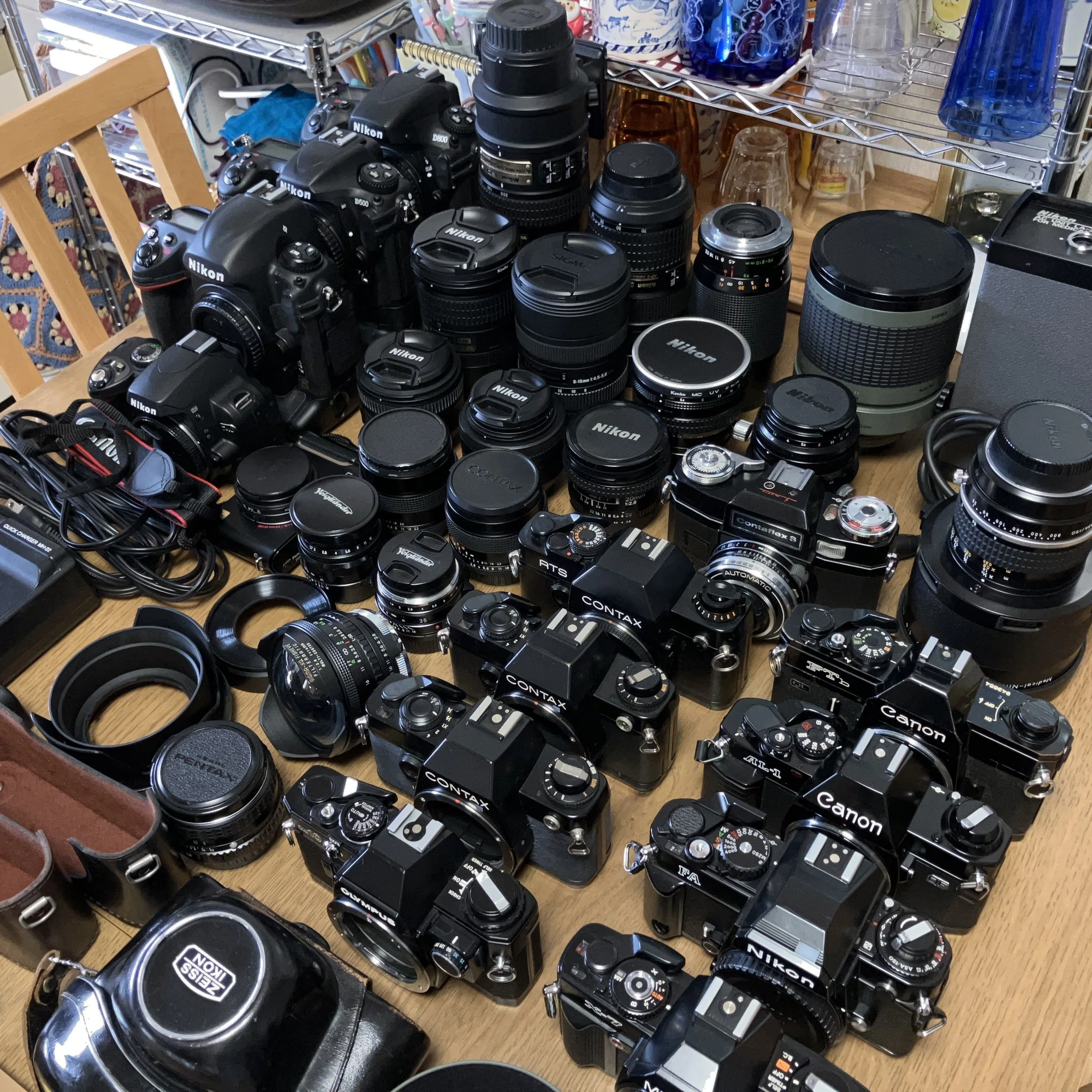 Nikon Z6Ⅲファーストインプレッション｜朝日良一