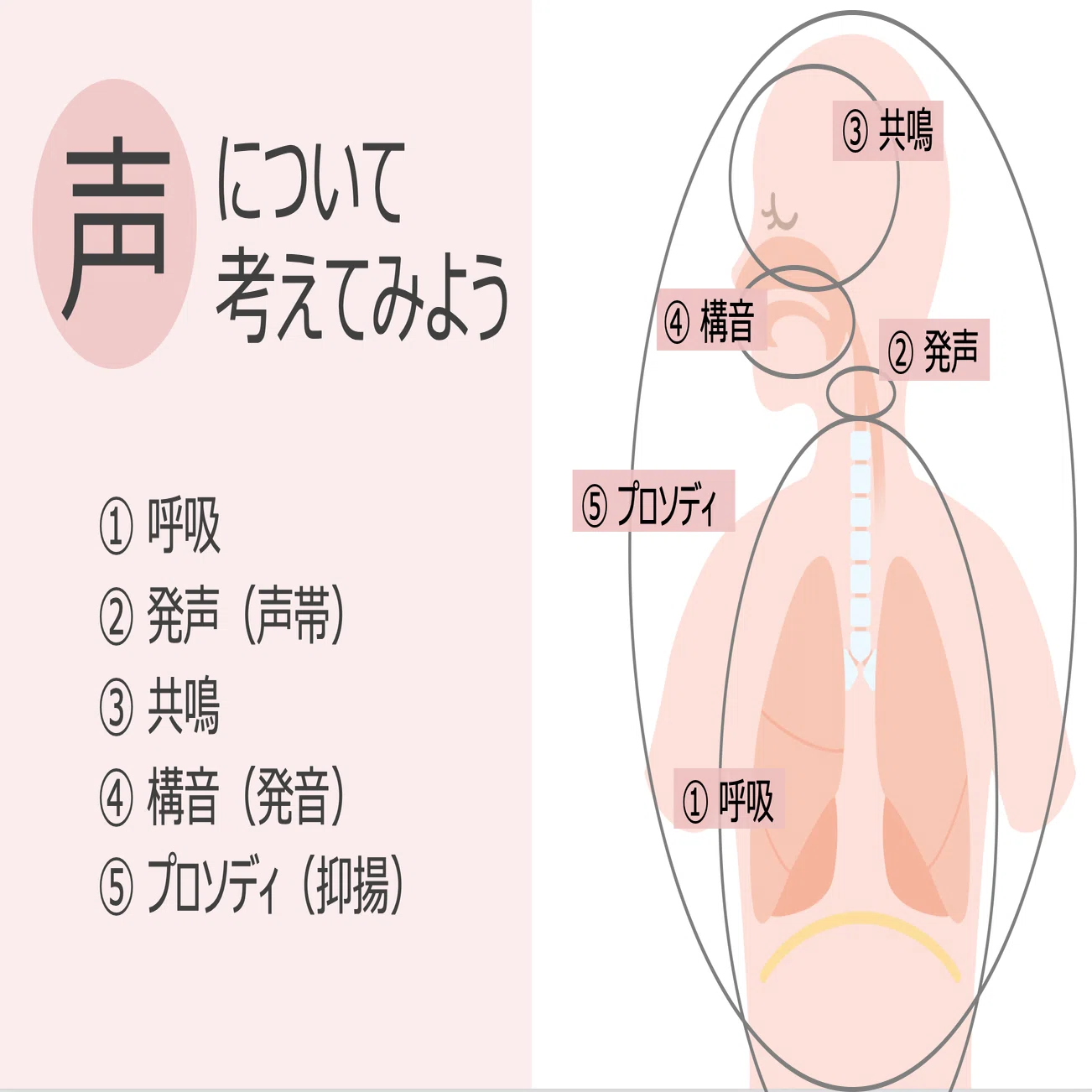 抑揚 と は