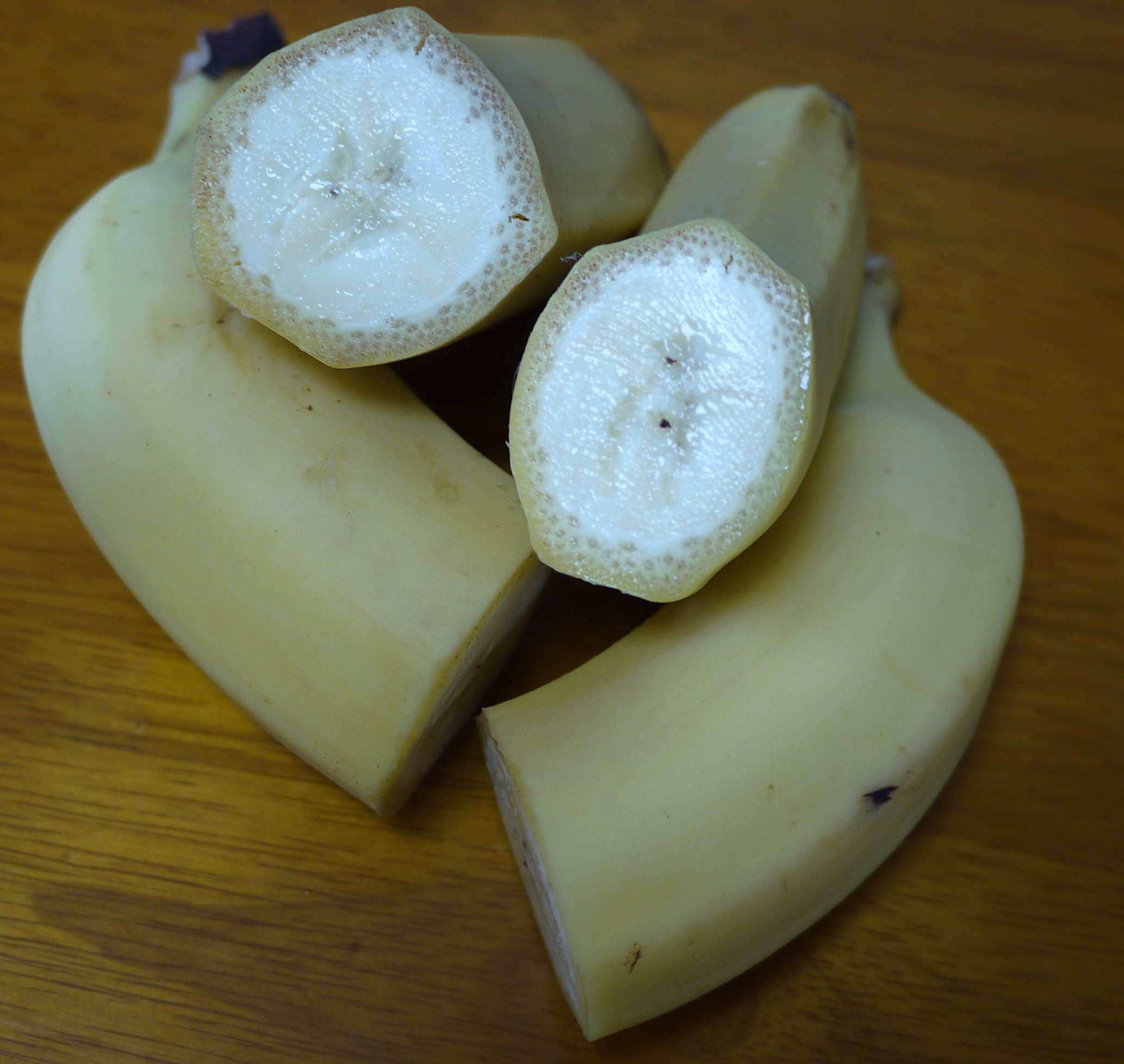 大きなバナナのオブジェ スーパーバムバナナ（ロックバナナ）の種子 - マルシェ青空