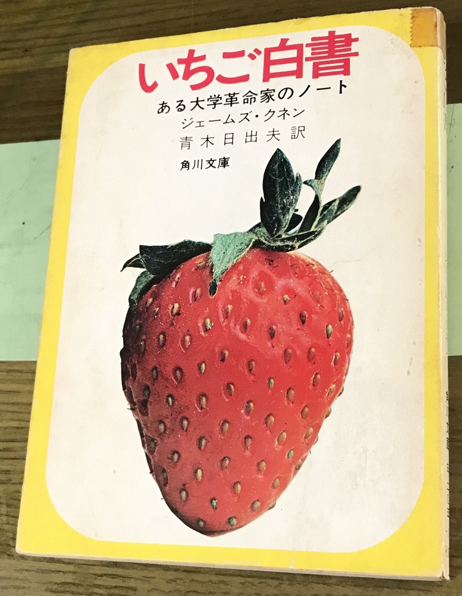 いちご白書」｜TOMOKI