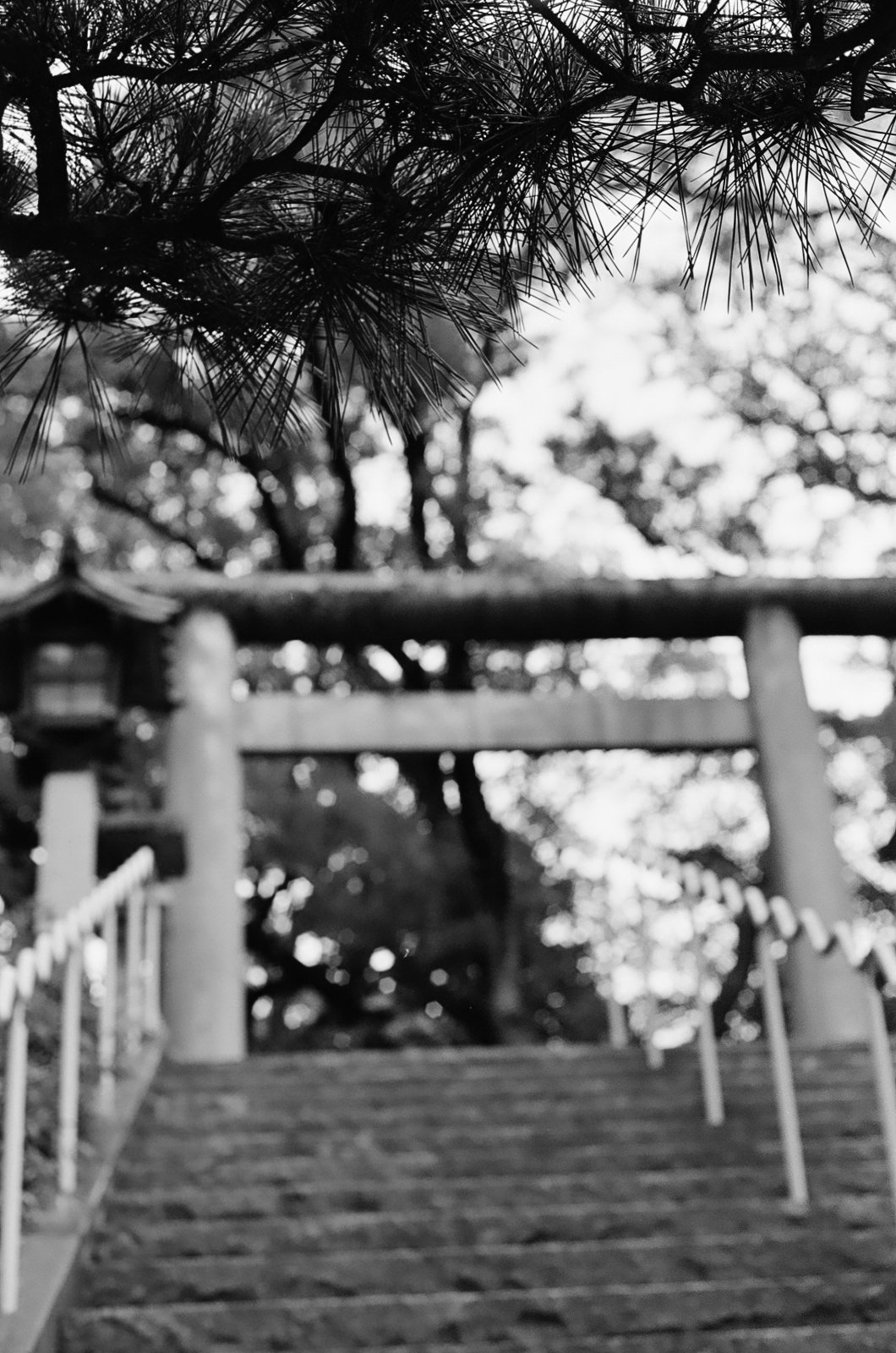 8．ILFORD XP2 SUPER400＜フィルム＞｜神成