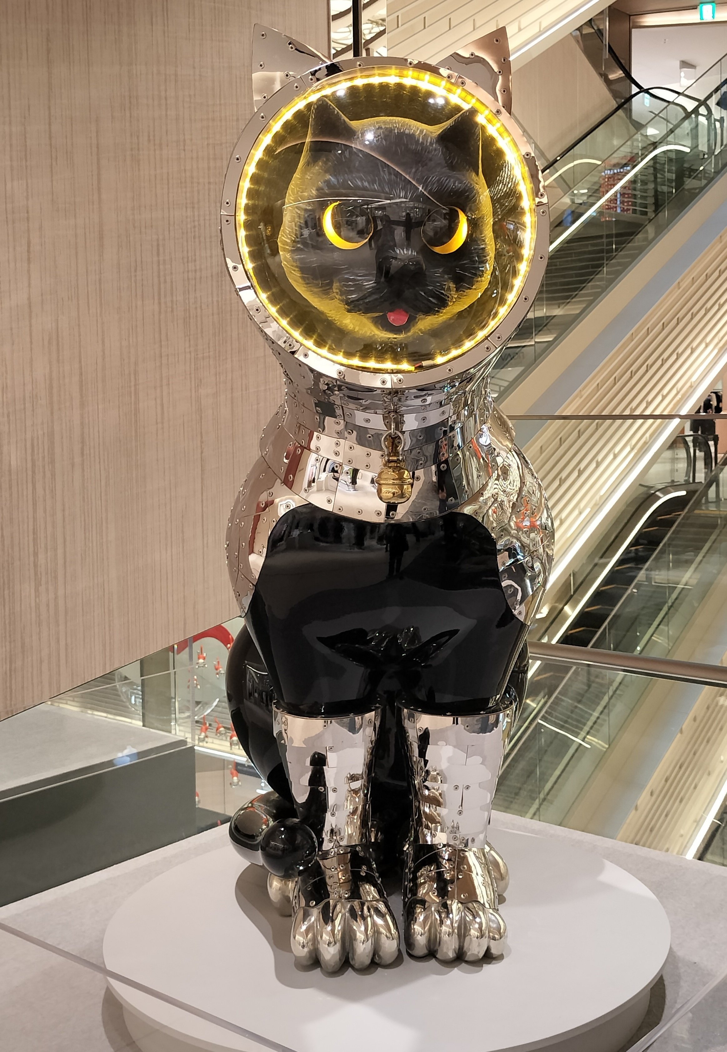 宇宙からやってきた猫に会いに行った｜エト