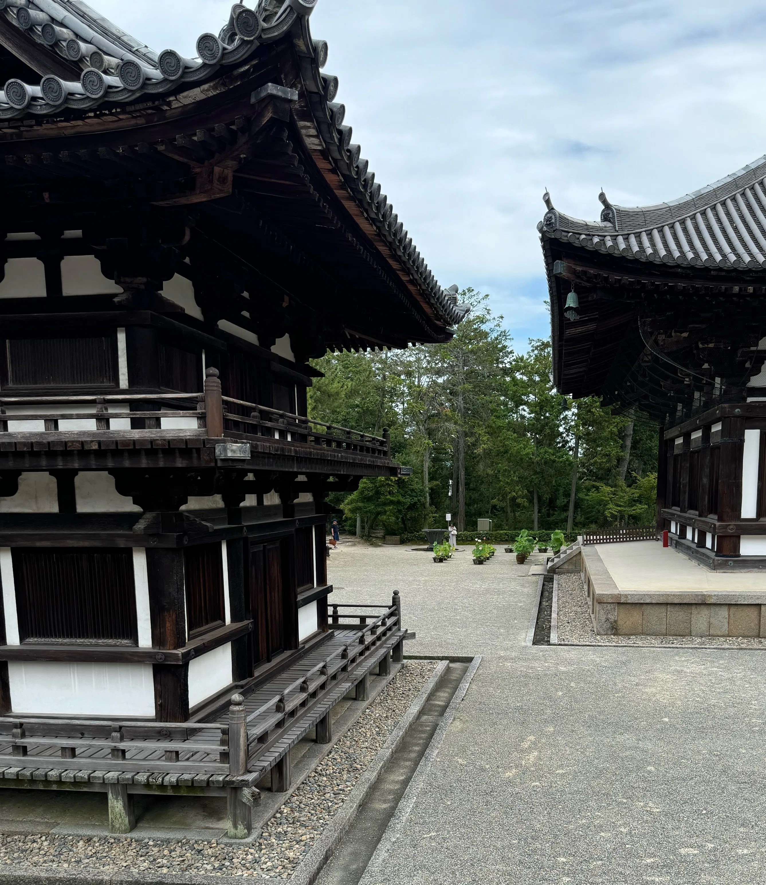 唐招提寺と安と蓮｜しかのじょう