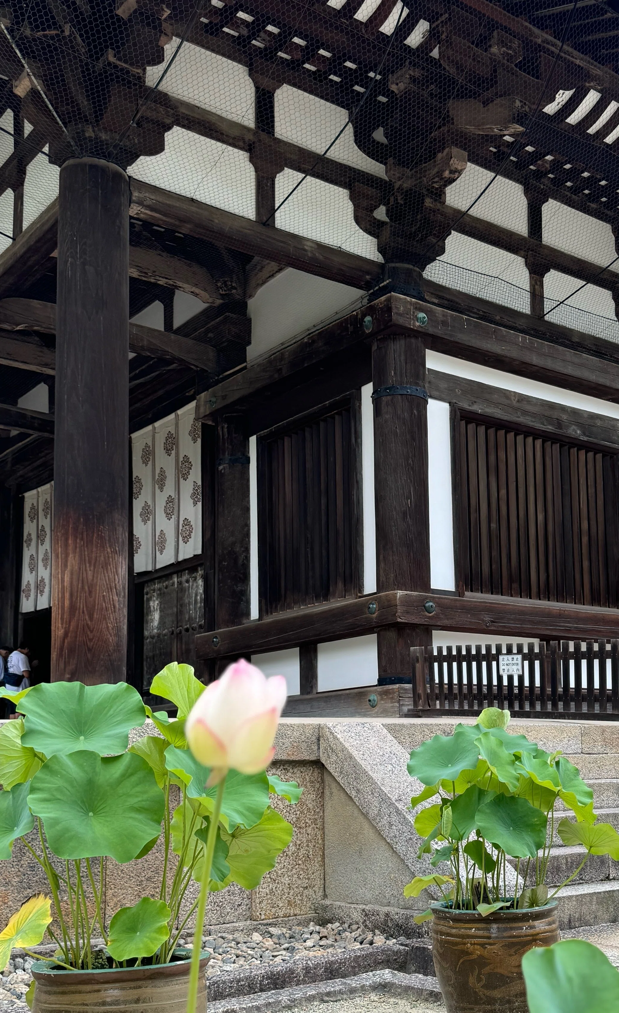 唐招提寺と安と蓮｜しかのじょう