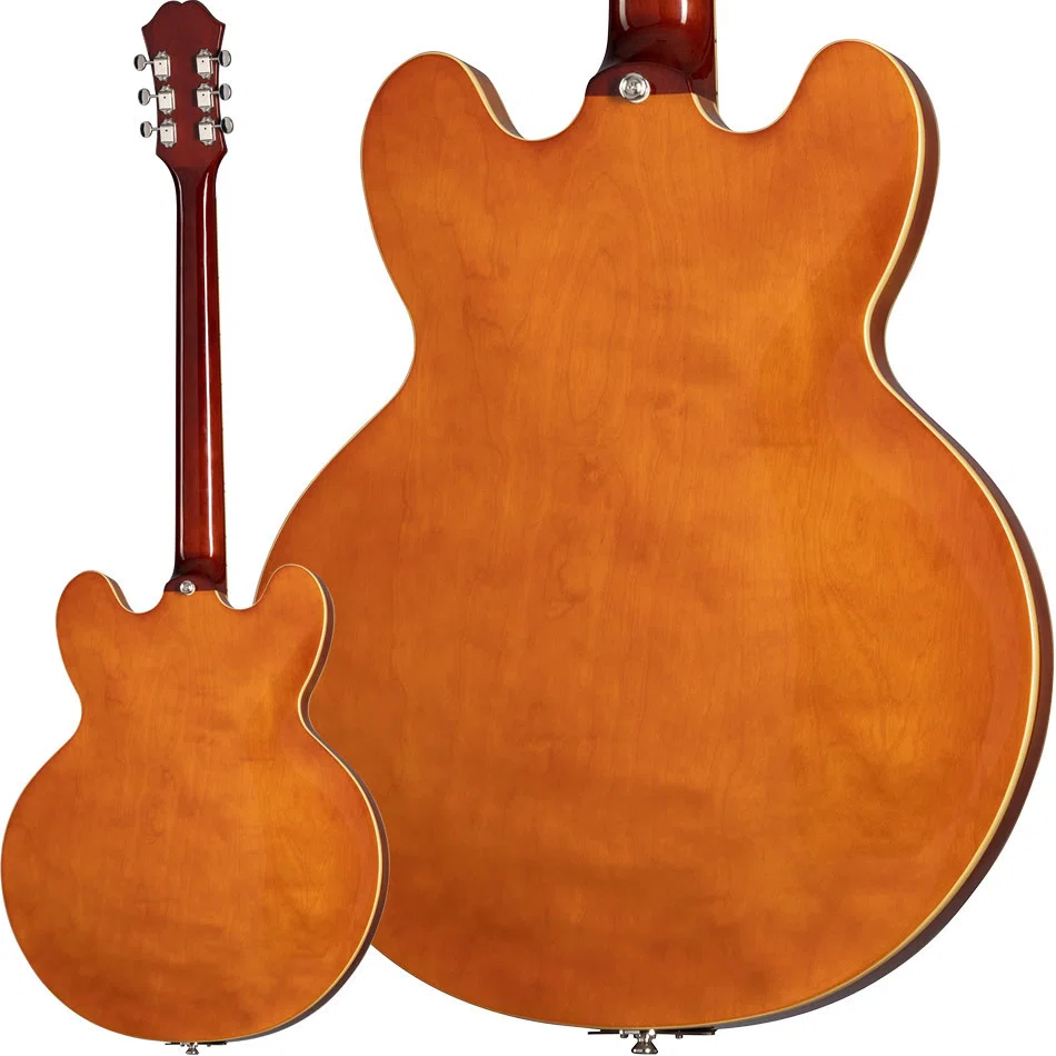 Epiphone Riviera Custom P93 リビエラカスタム P90
