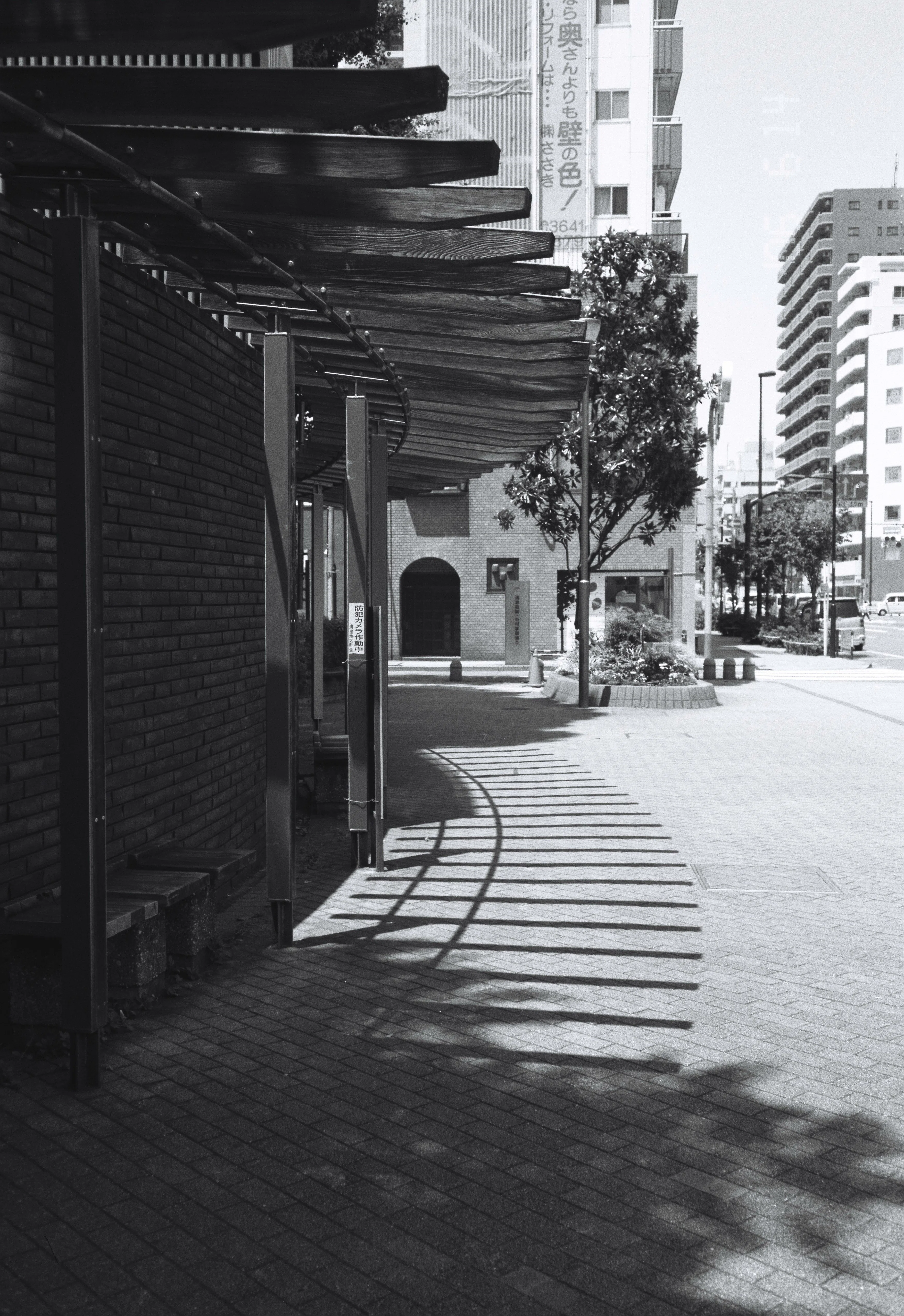 ACROS 100 II】夏はモノクロで涼やかに①【フィルム】|am(あむ) ACROS 100 II】夏はモノクロで涼やかに①【フィルム】|am(あむ)