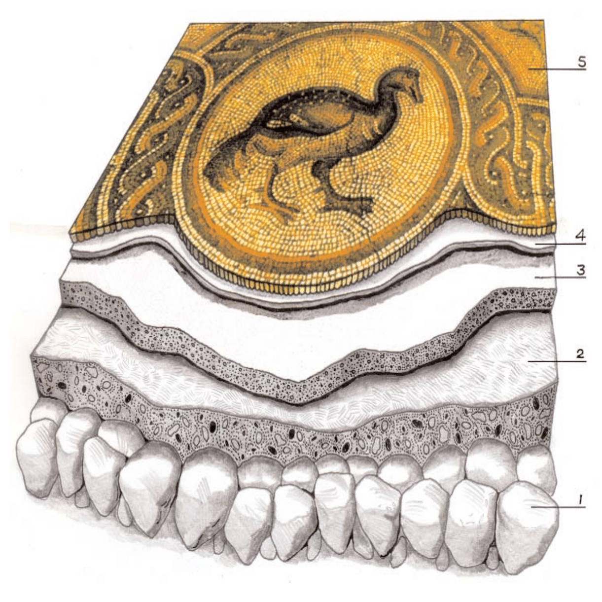 パンと魚の奇跡”とモザイク｜Shintaro YANAGAWA