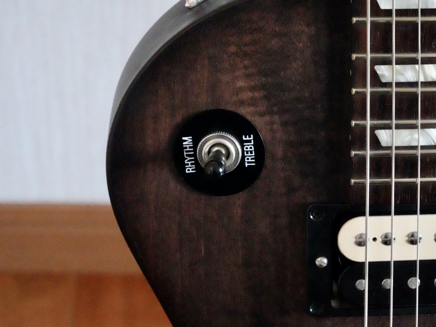 物録】Gibson LPM 2014｜zen