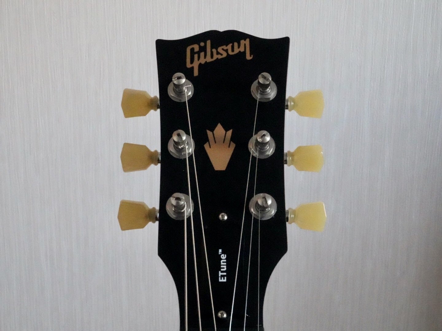 物録】Gibson LPM 2014｜zen