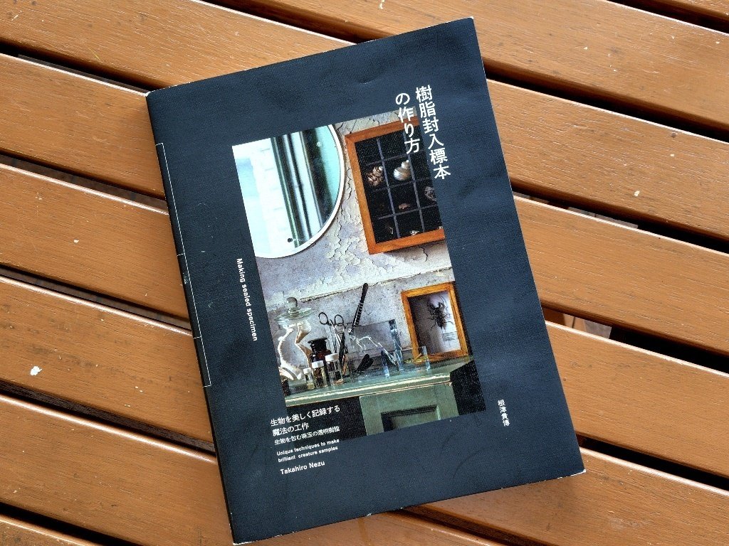 コウモリの標本　アクリル封入 Amazon.co.jp: コウモリ標本、樹脂製動物標本、生物学教育用フレーム