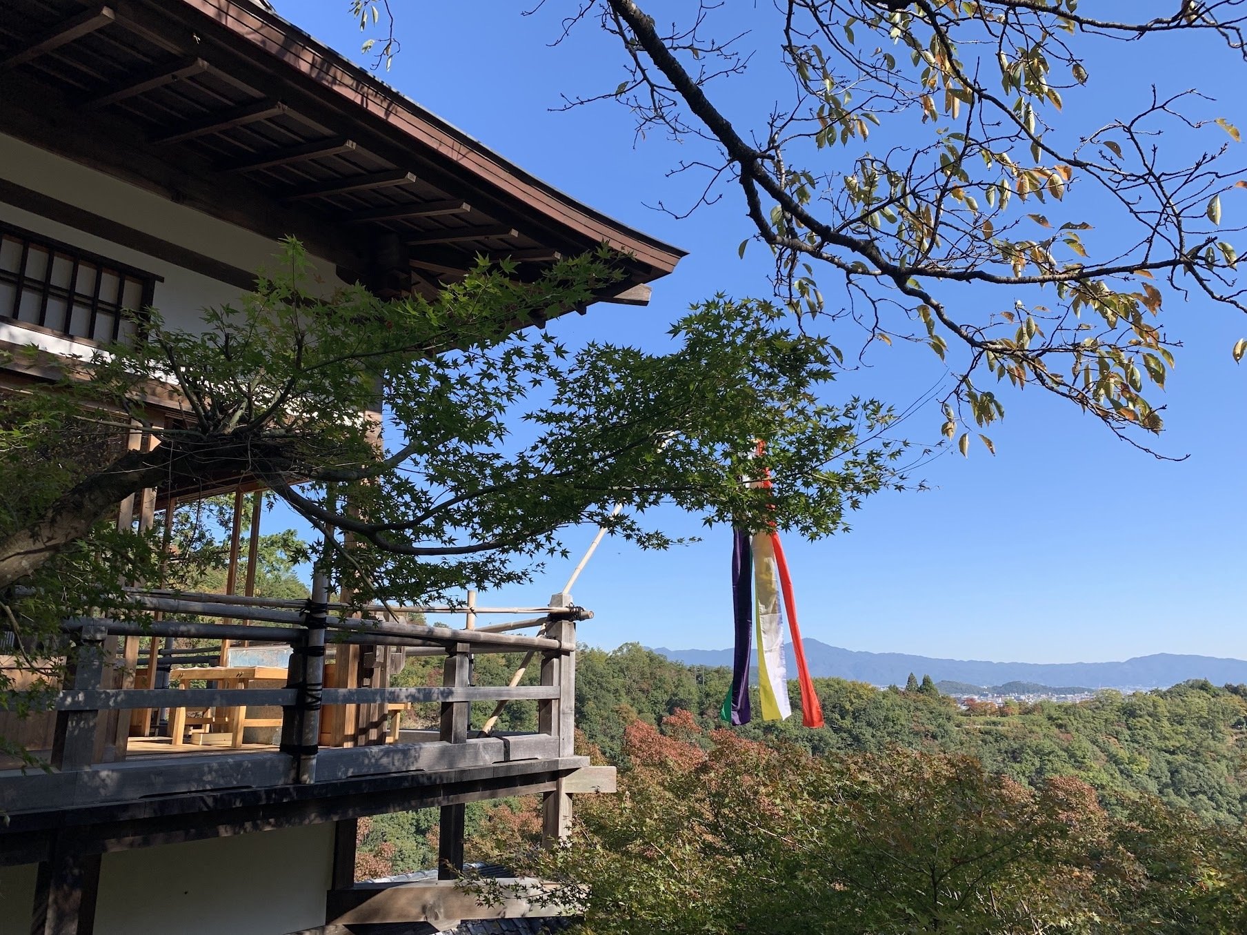 家康の時代、貿易商社にしてゼネコン、角倉了以・素庵|新妻東一 家康の時代、貿易商社にしてゼネコン、角倉了以・素庵|新妻東一