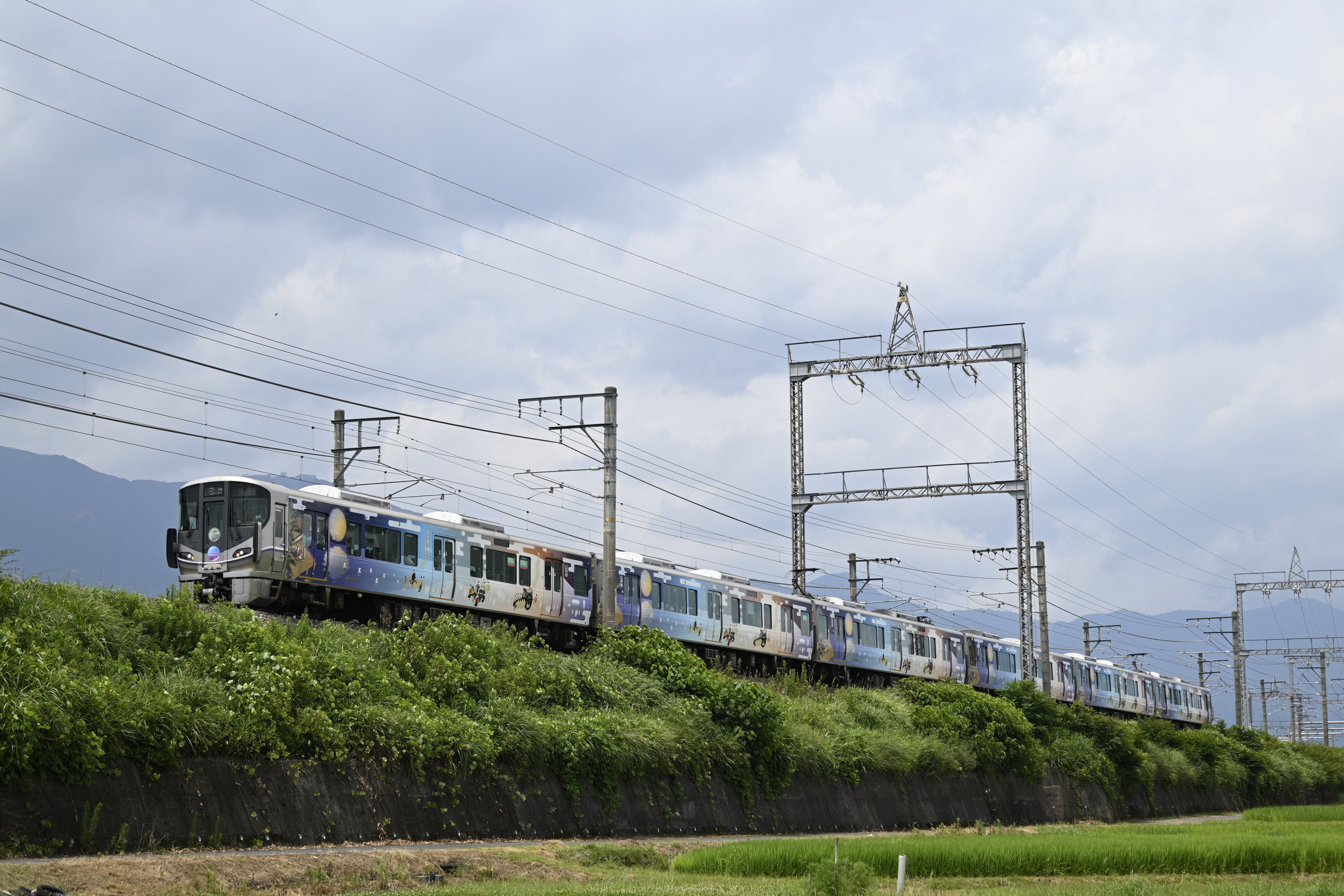 湖西線50周年｜鷺