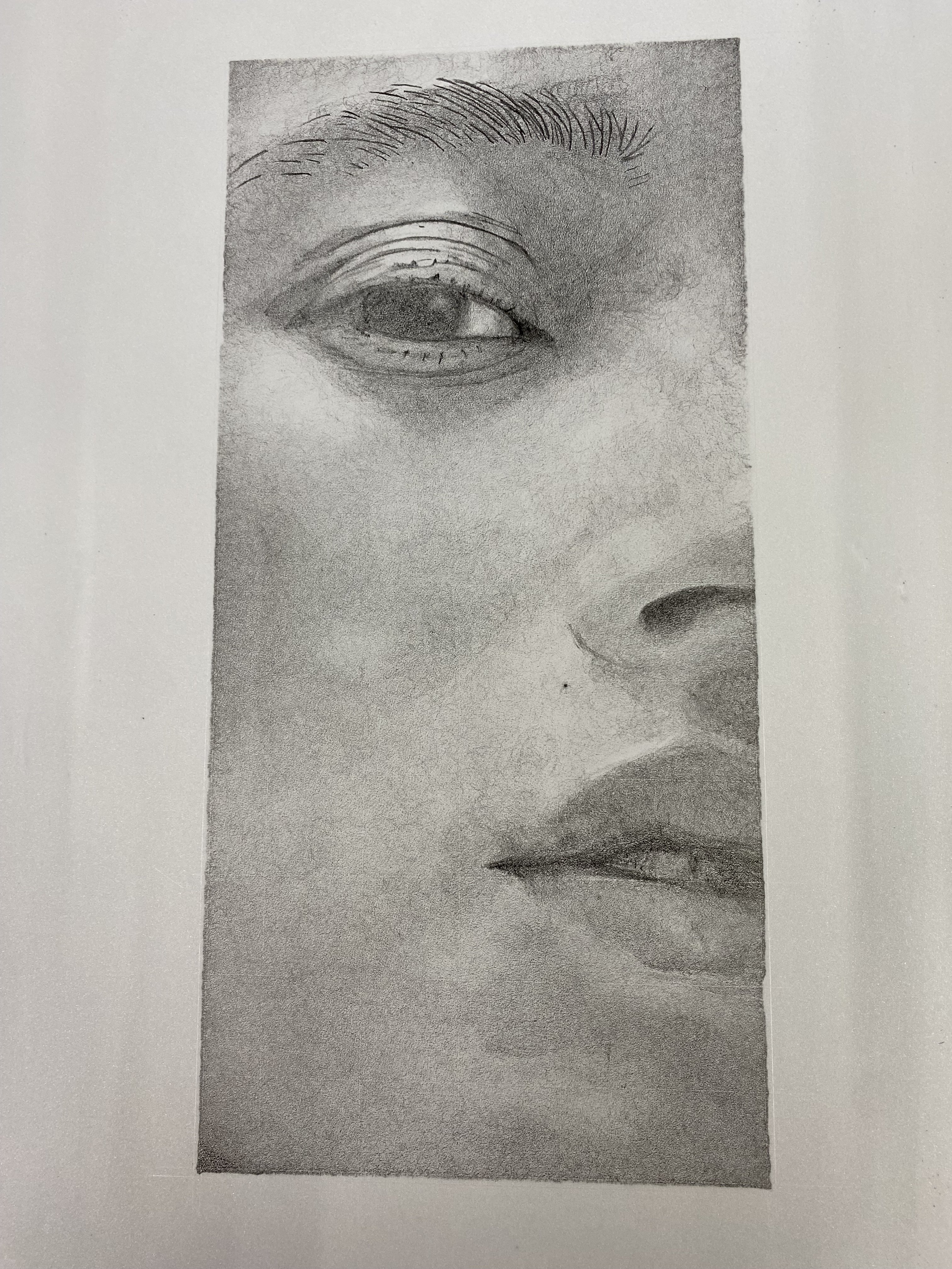 リトグラフダーマト描画版の製版｜寺内太郎