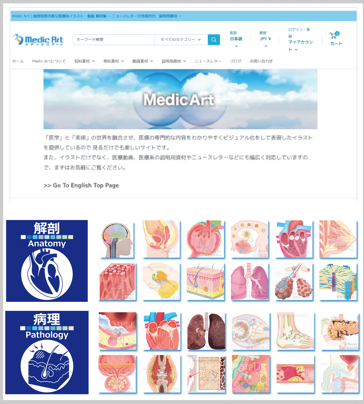 画像