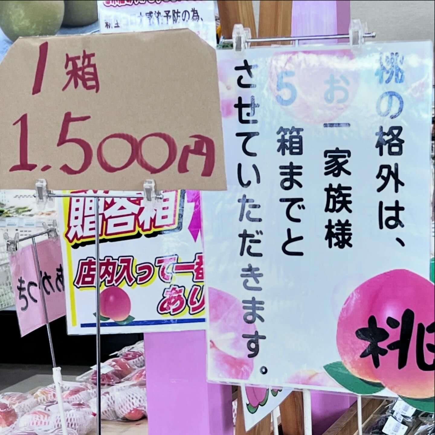 長野県南信州松川町のもなりんで夏の桃を爆買い！その魅力を徹底