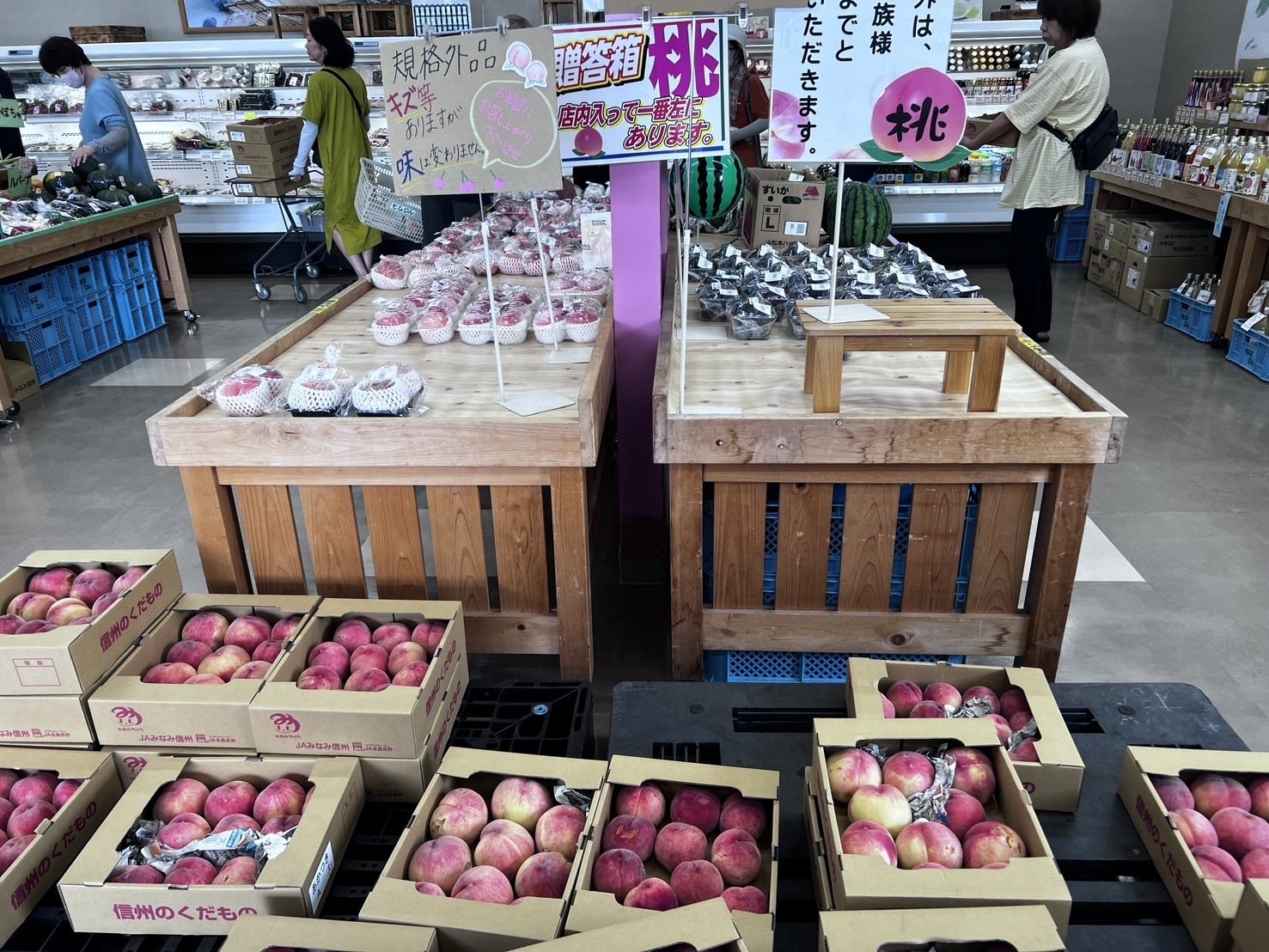 長野県南信州松川町のもなりんで夏の桃を爆買い！その魅力を徹底