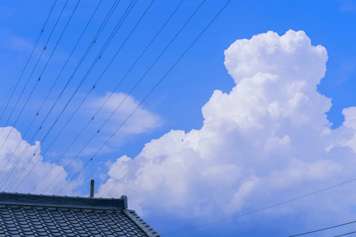 岐阜県 夏夏 © SHori