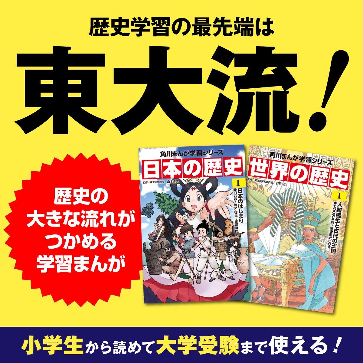 世界の歴史 角川 全巻セット 社会 受験 東大 教養 - 絵本・児童書