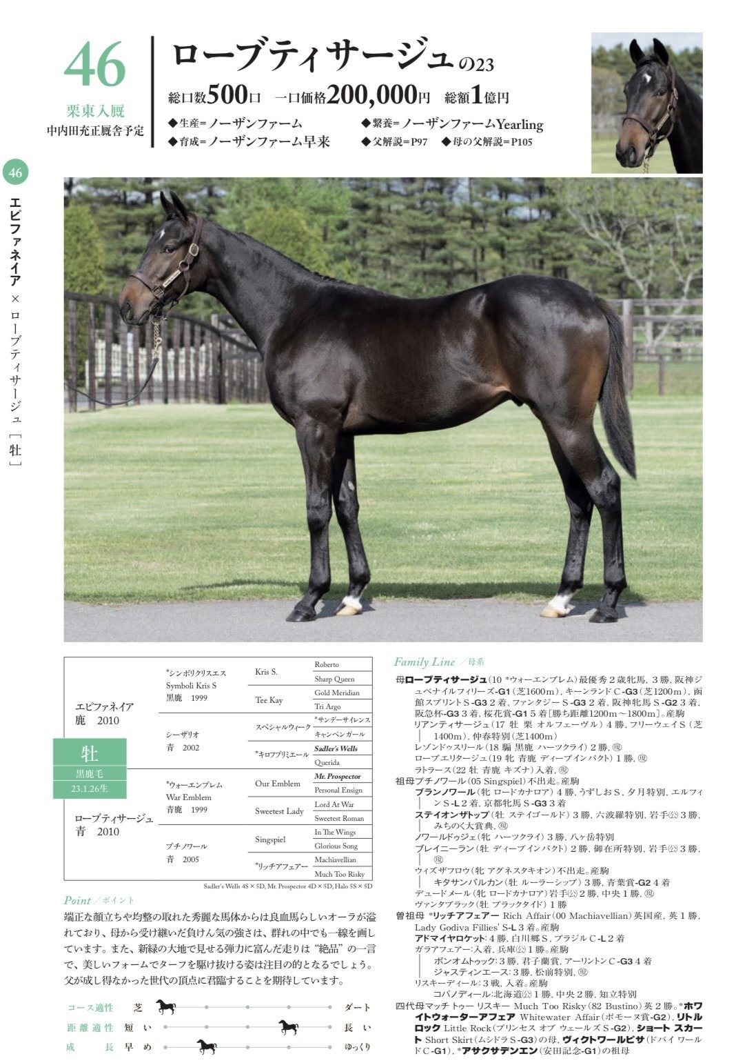 馬の親子１．７キロ（重量） シルク募集時評価2024年 関西馬①｜サンデーDサイレンス