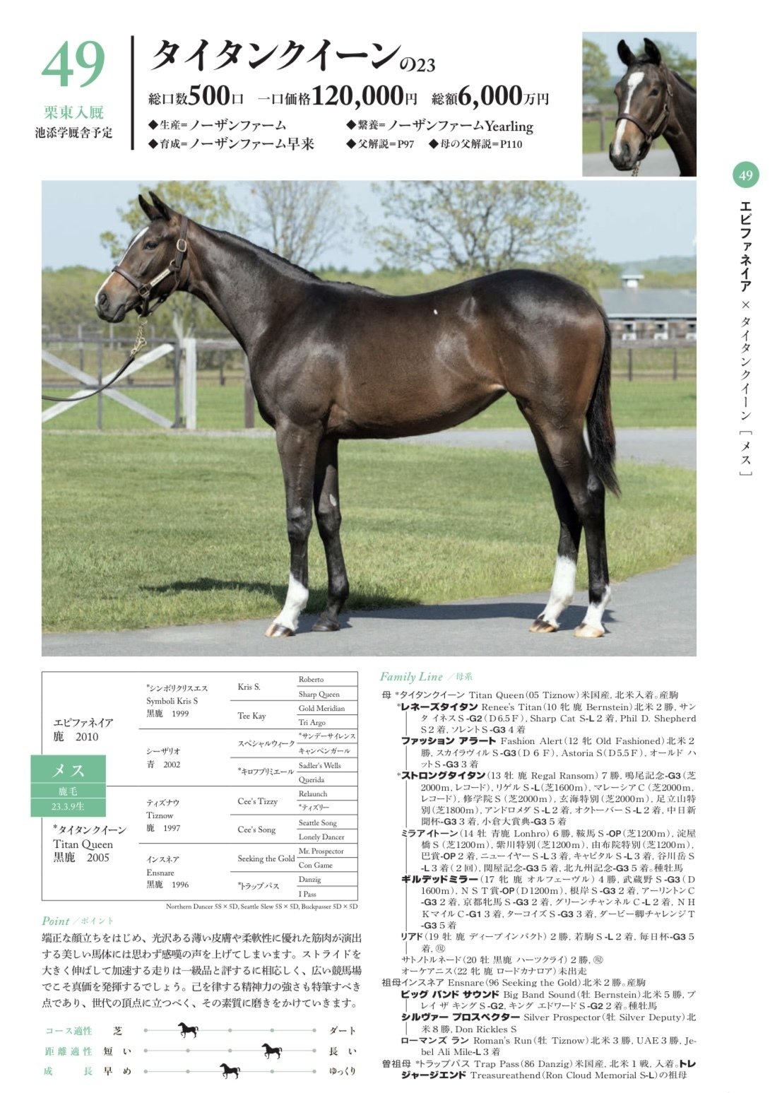 シルク募集時評価2024年 関西馬①｜サンデーDサイレンス