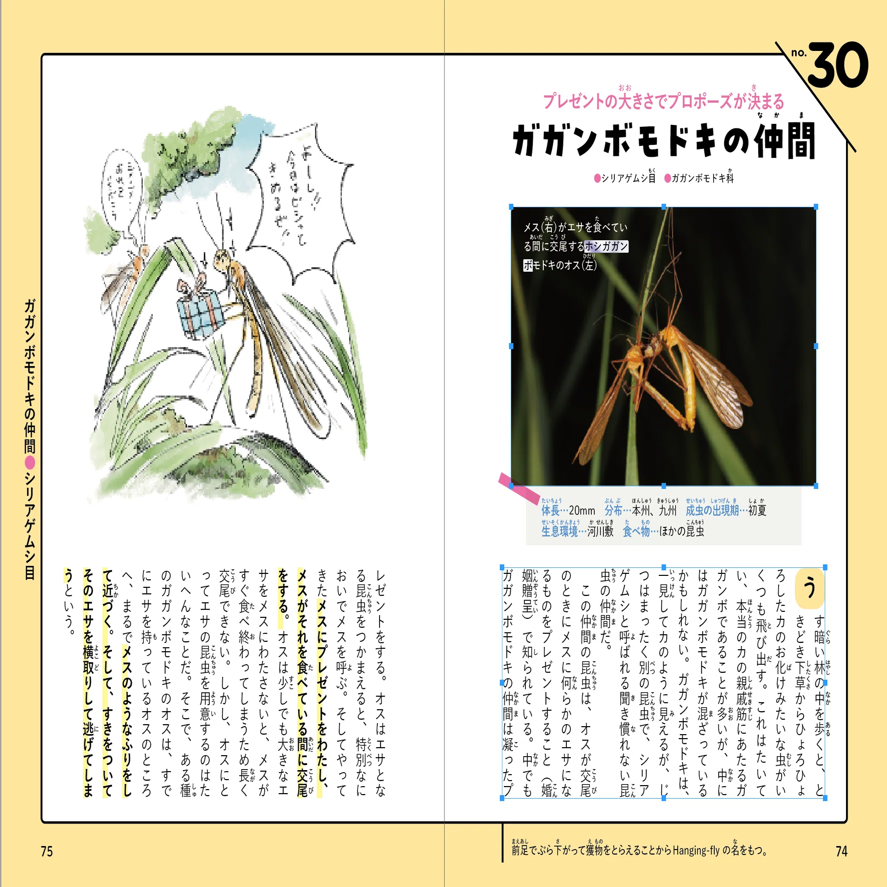 数多のムシにまつわる蘊蓄本と、『虫ってやっぱり面白い！ 虫たちの