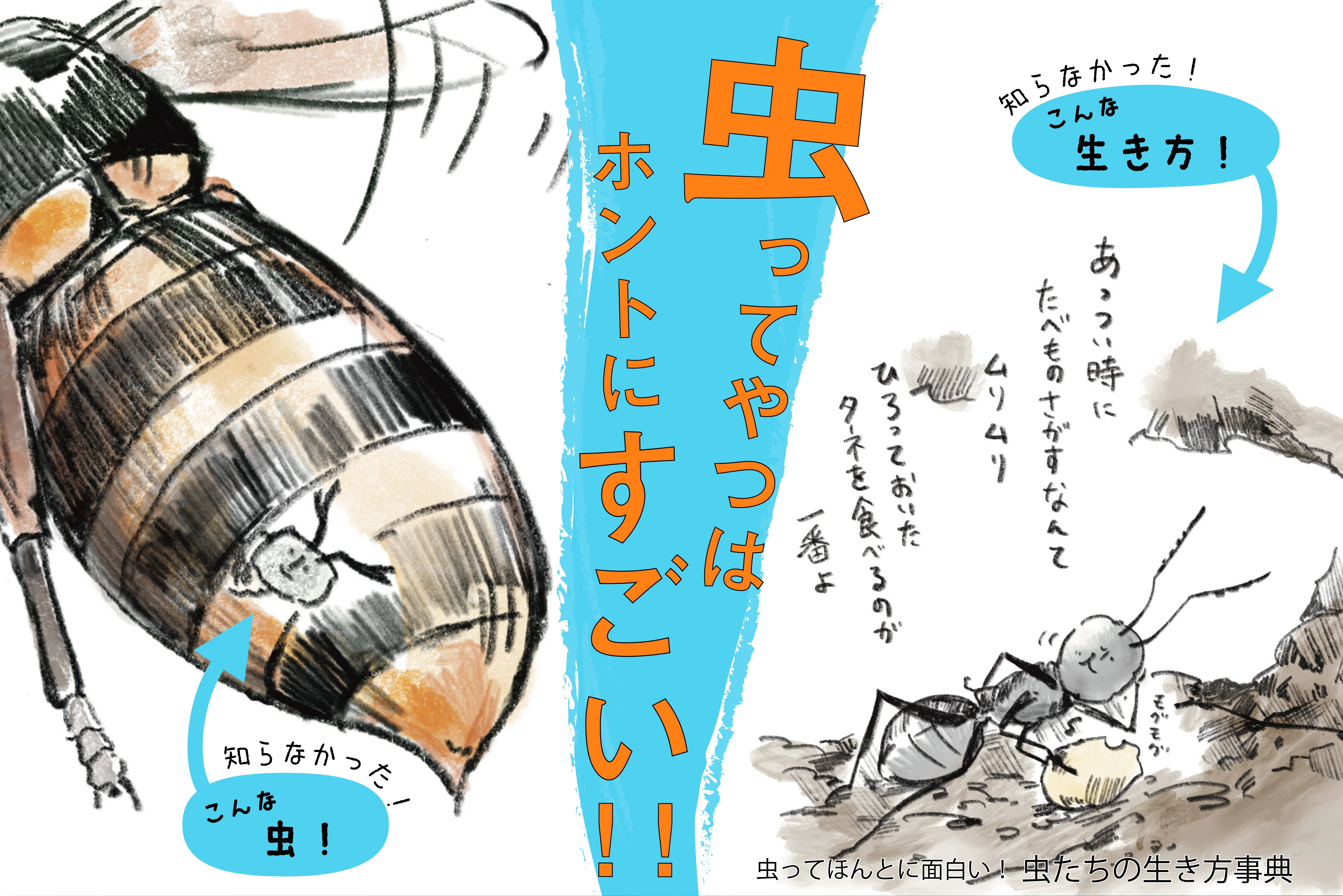 数多のムシにまつわる蘊蓄本と、『虫ってやっぱり面白い！ 虫たちの