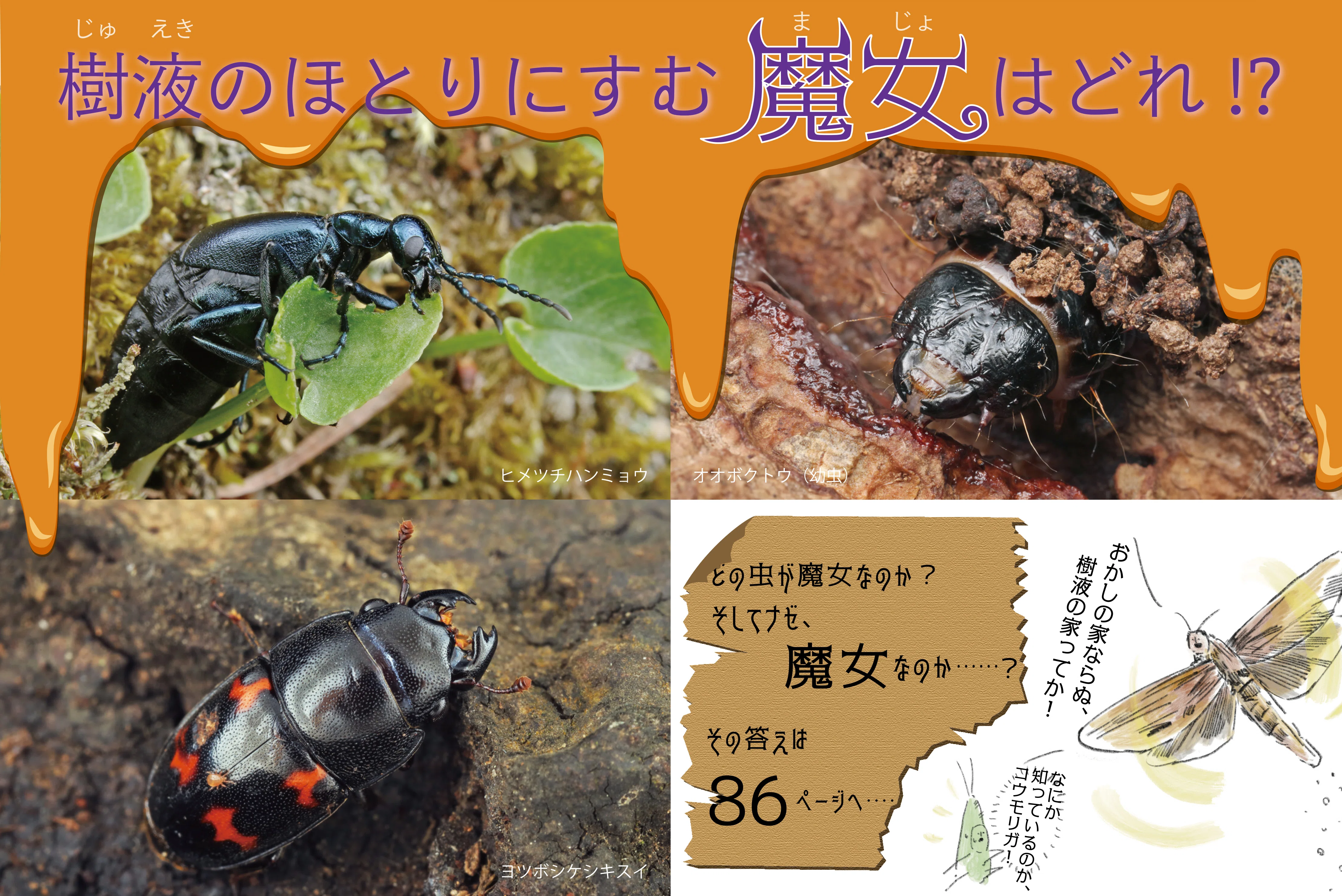 数多のムシにまつわる蘊蓄本と、『虫ってやっぱり面白い！ 虫たちの