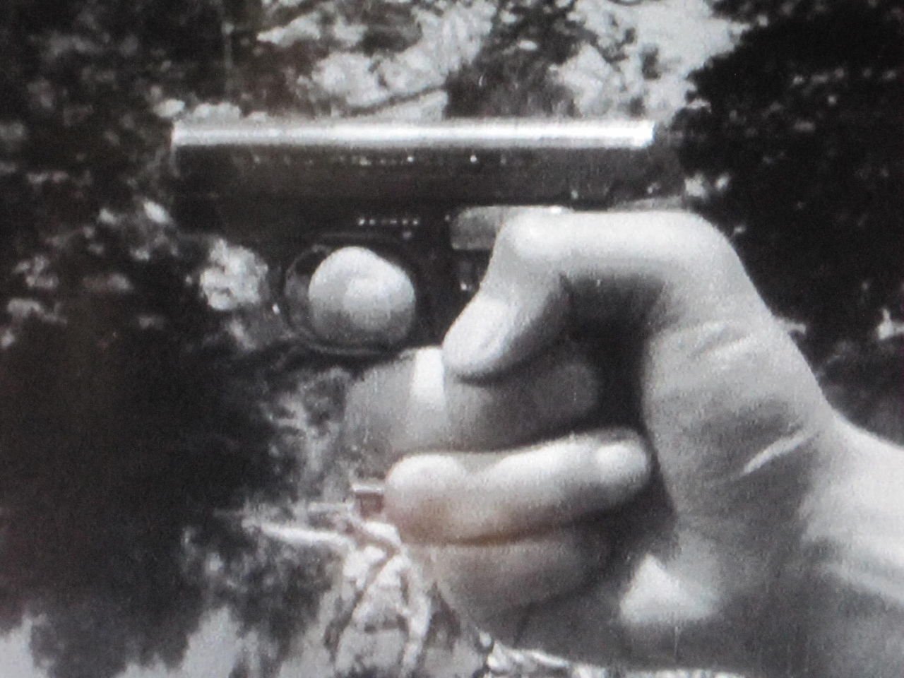 サイン本　黒沢明　『黒沢明映画大系4静かなる決闘/野良犬』 サイン本 黒沢明 『黒沢明映画大系4静かなる決闘/野良犬』