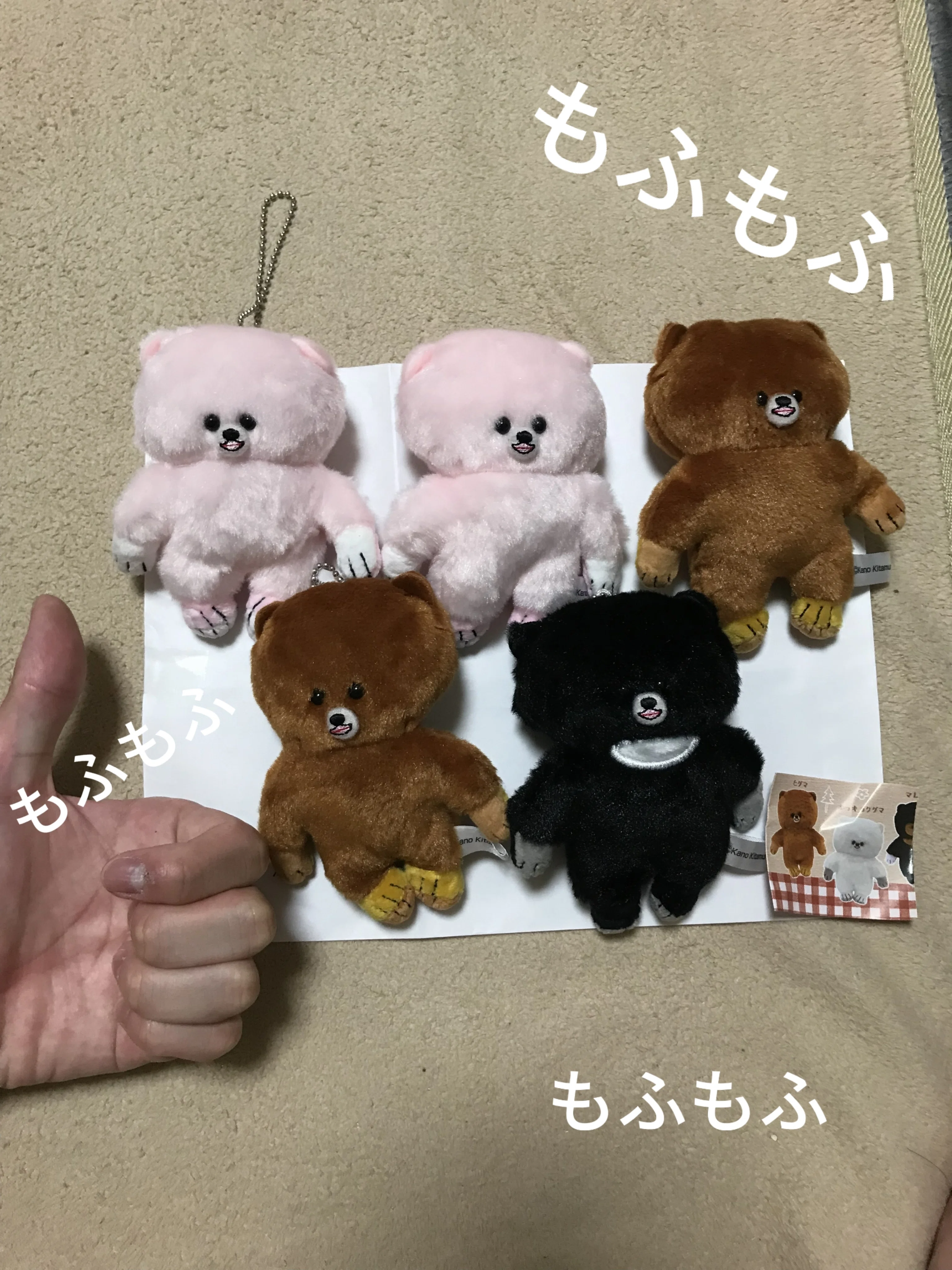 レビュー]最近ドハマりしているガチャガチャ「顔がギュっとしたくまの