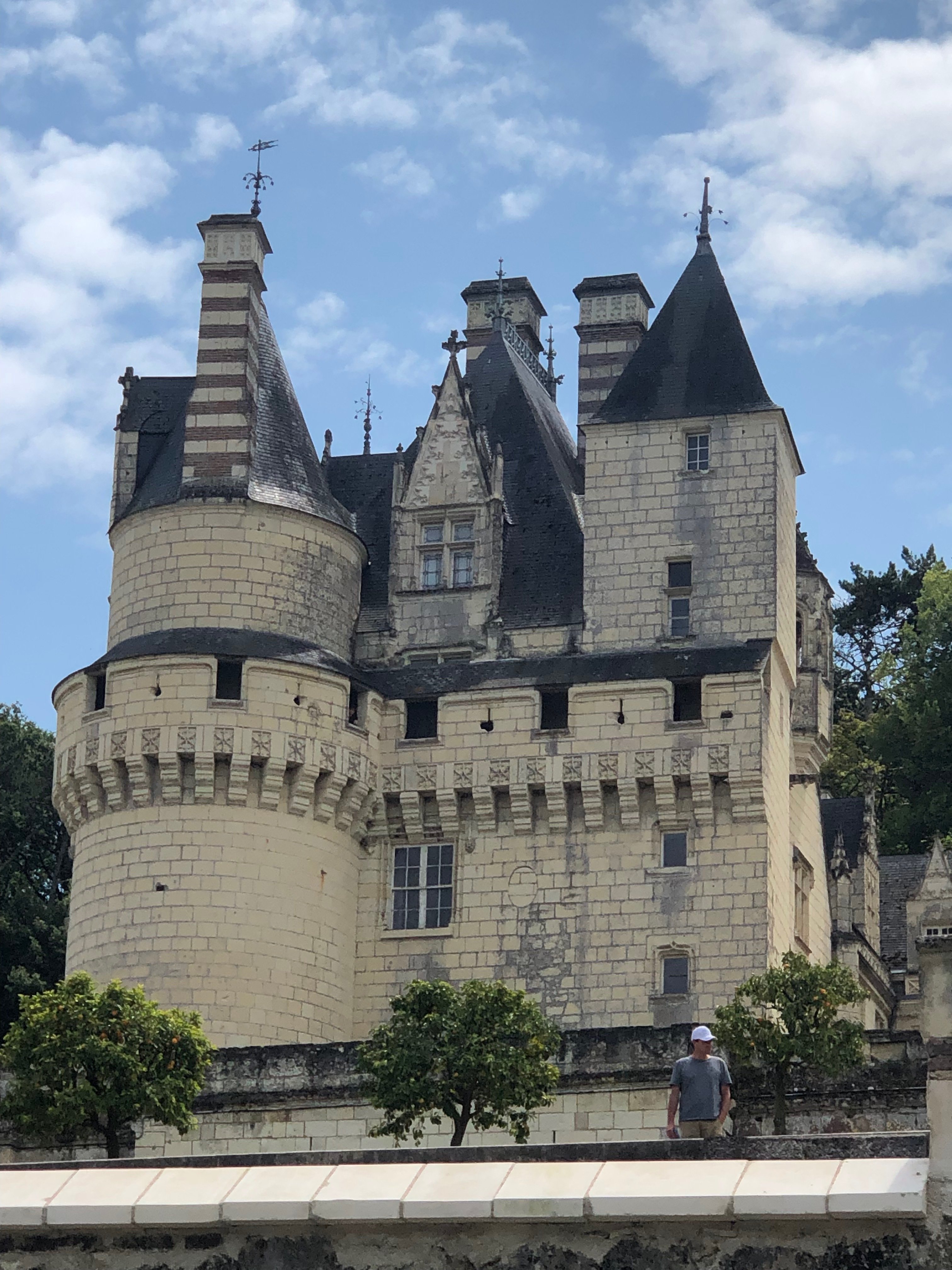 仏ロワール渓谷でもお城、お城、お城、英国とは違い曲線が多くて可愛い