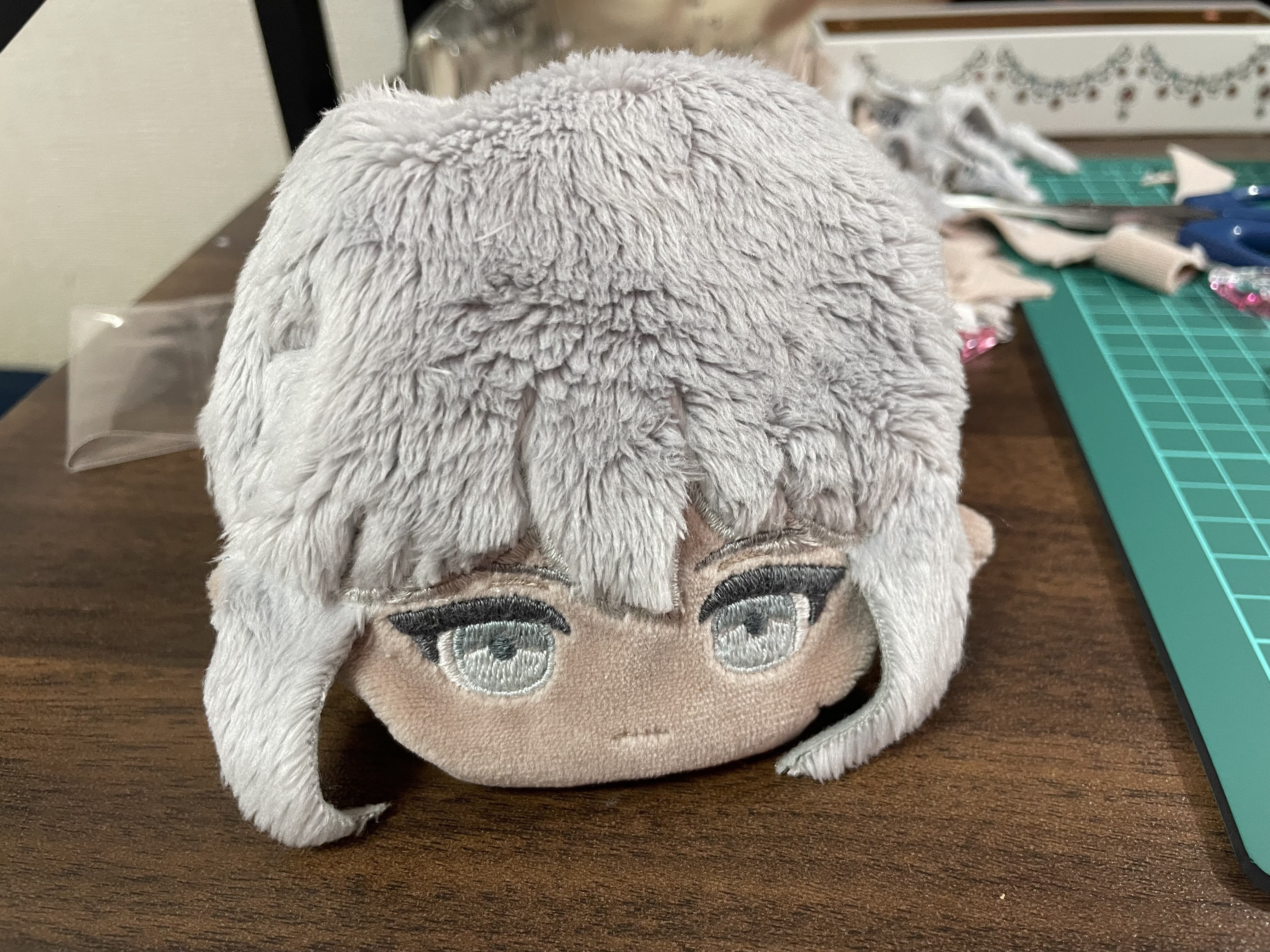 推しぬいを作りました｜めとり