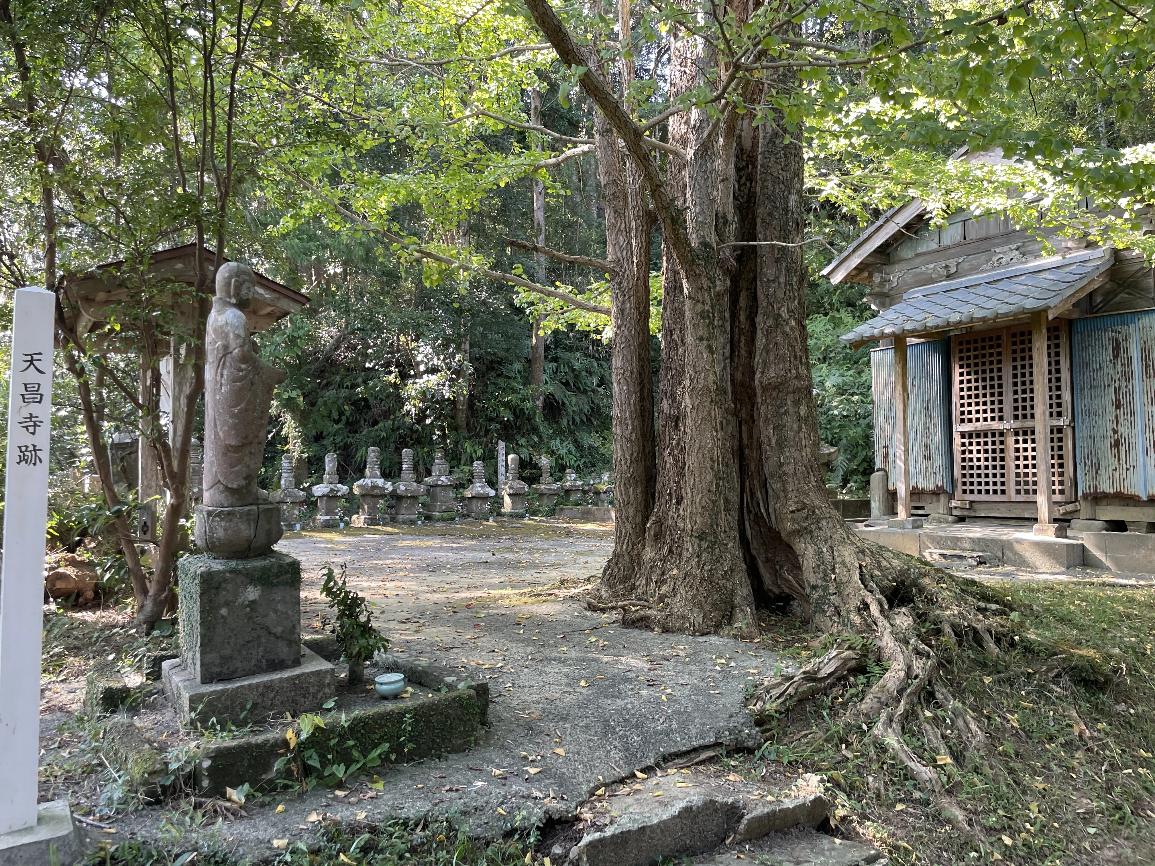 島津四兄弟 末弟の居城 【佐土原歴史資料館と天昌寺跡：島津家のトビラ